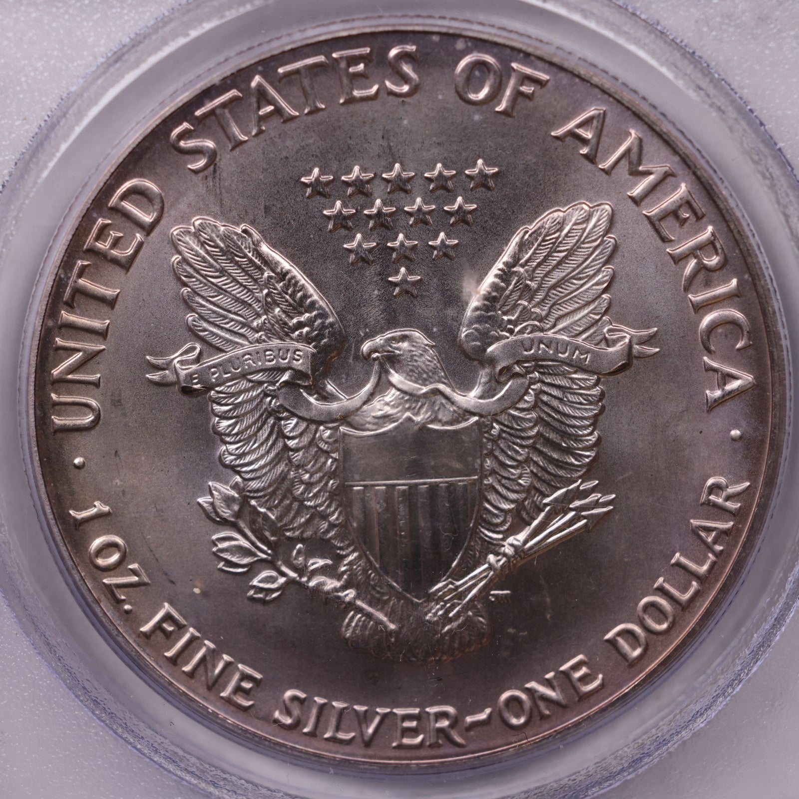 1991 American Silver Eagle Toner, PCGS MS-66, Store#AE0303