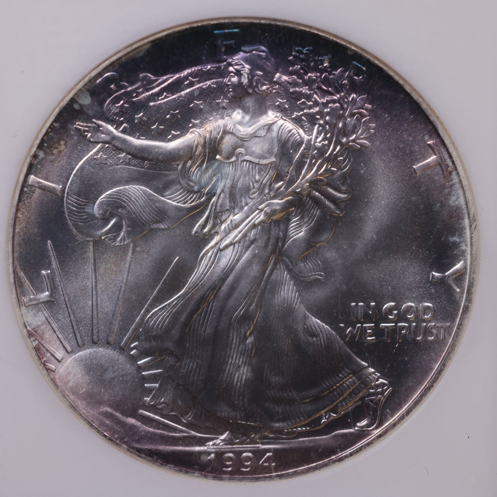 1994 American Silver Eagle Toner, ANACS MS-67, Store#AE0304