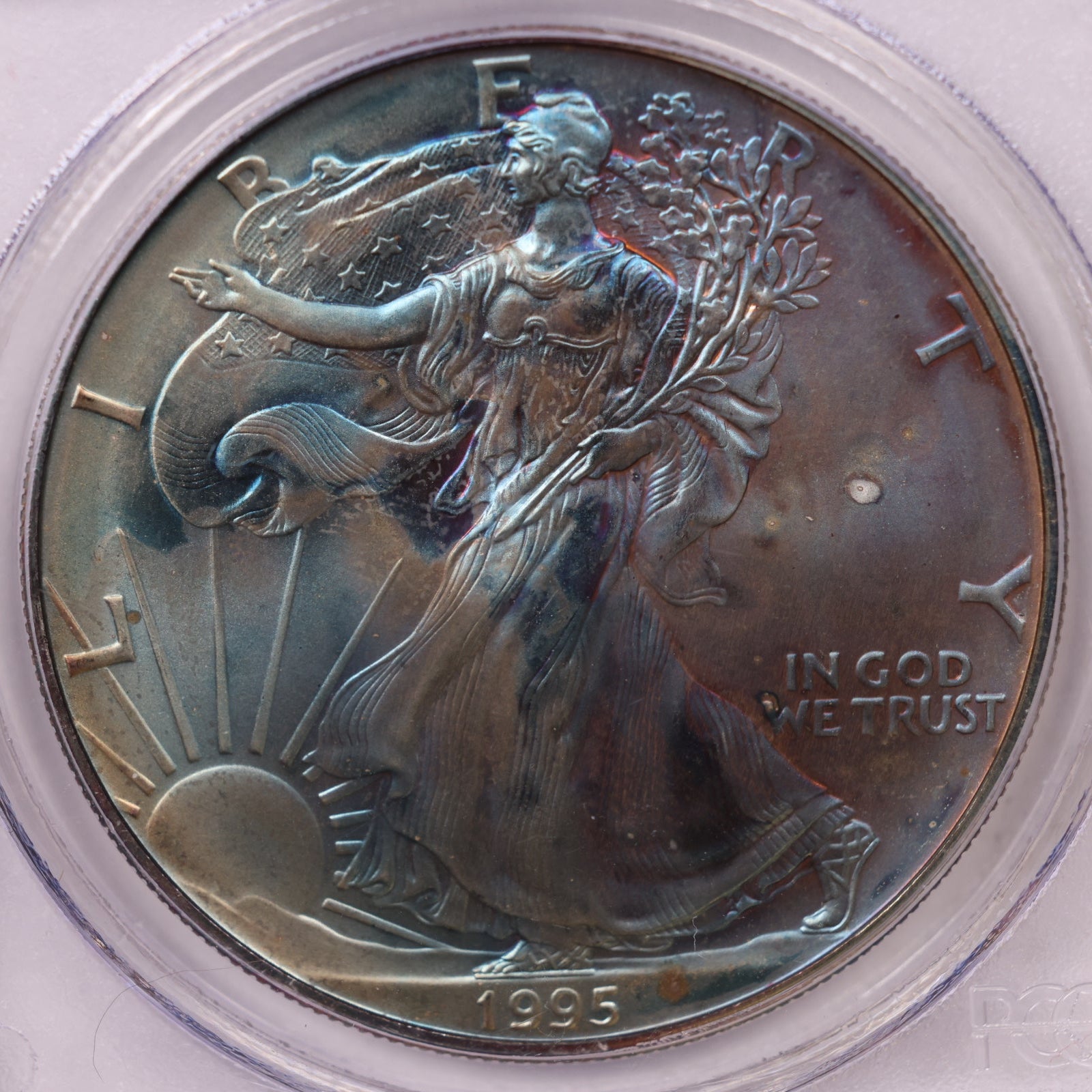 1995 American Silver Eagle Toner, PCGS MS-66, Store#AE0305