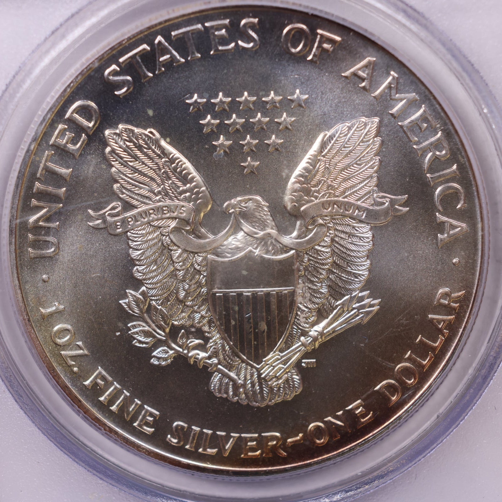 1998 American Silver Eagle Toner, PCGS MS-66, Store#AE0310