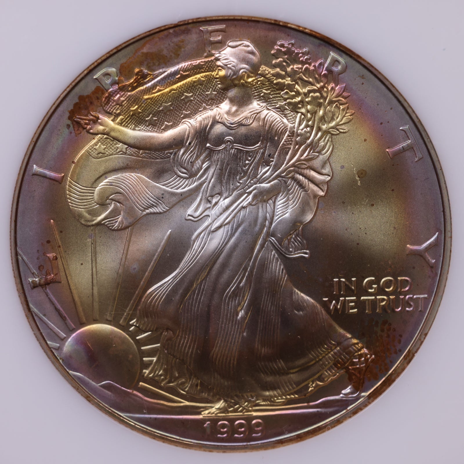1999 American Silver Eagle Toner, MS-67, Store#AE0312