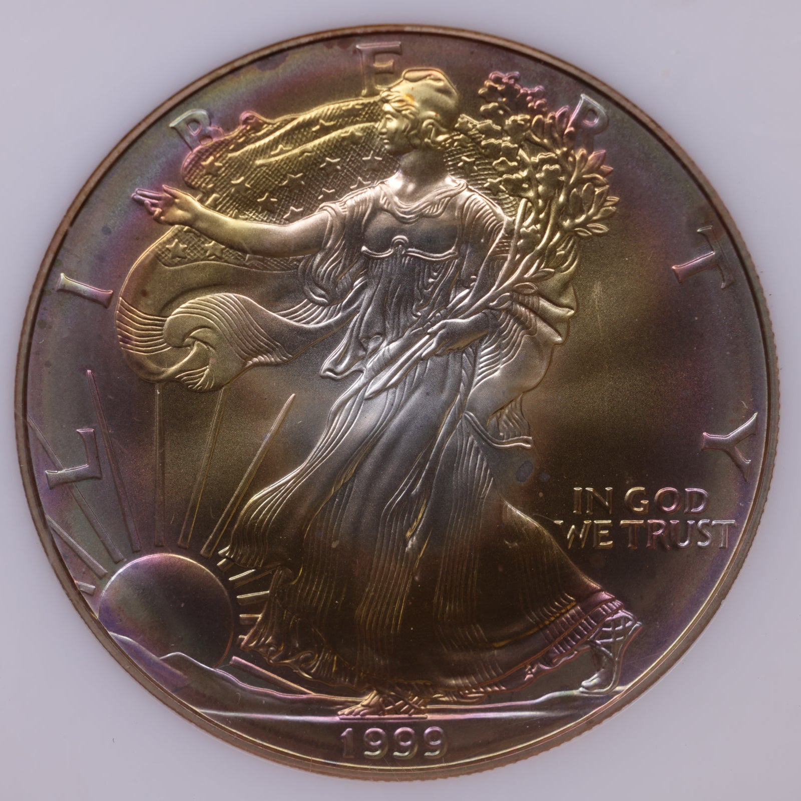 1999 American Silver Eagle Toner, MS-67, Store#AE0313