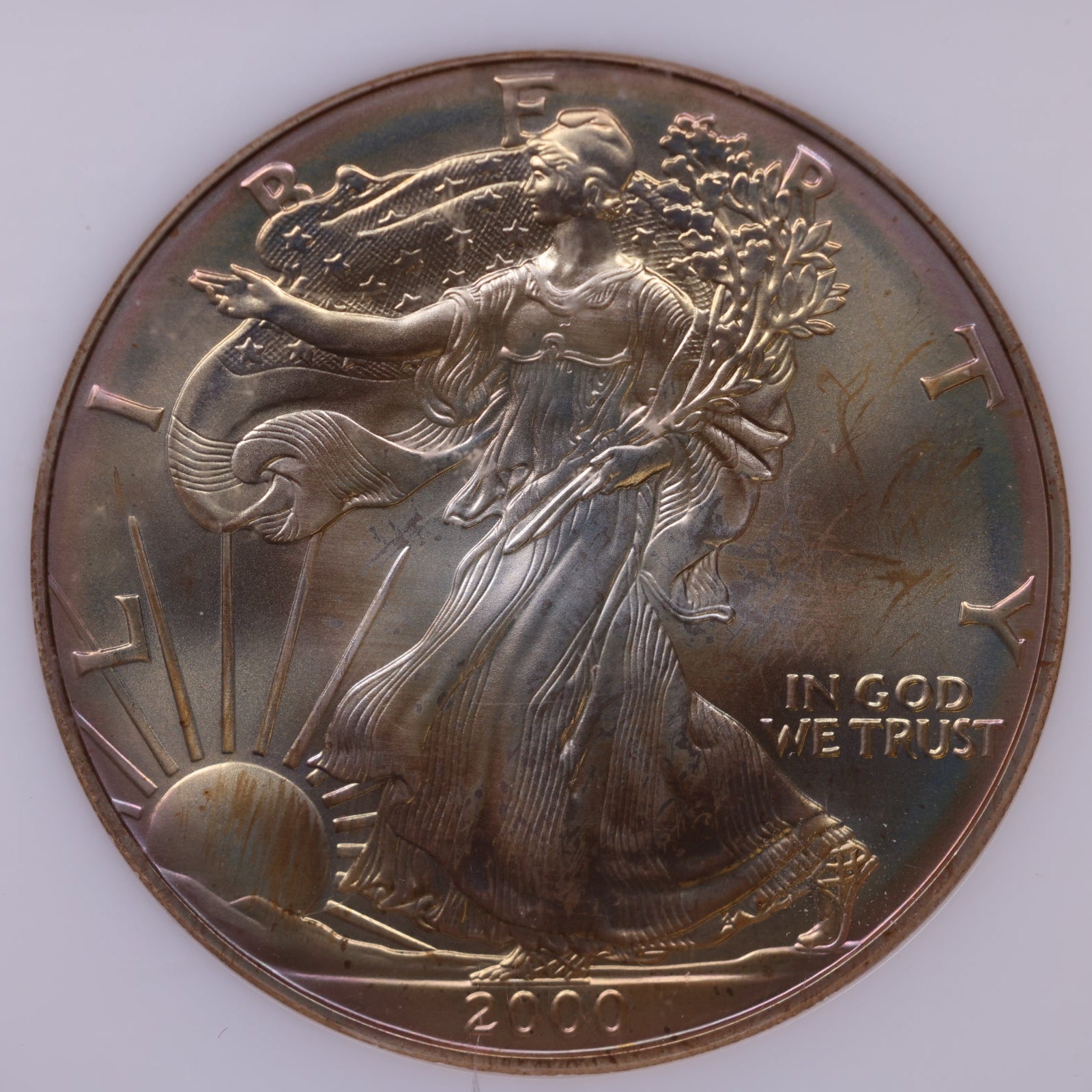 2000 American Silver Eagle Toner, MS-70, Store#AE0316