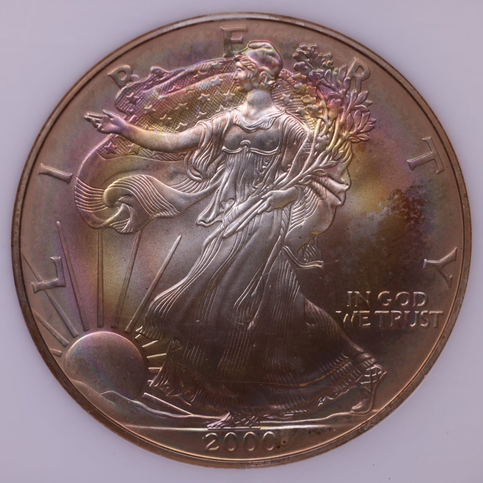 2000 American Silver Eagle Toner, MS-67, Store#AE0319