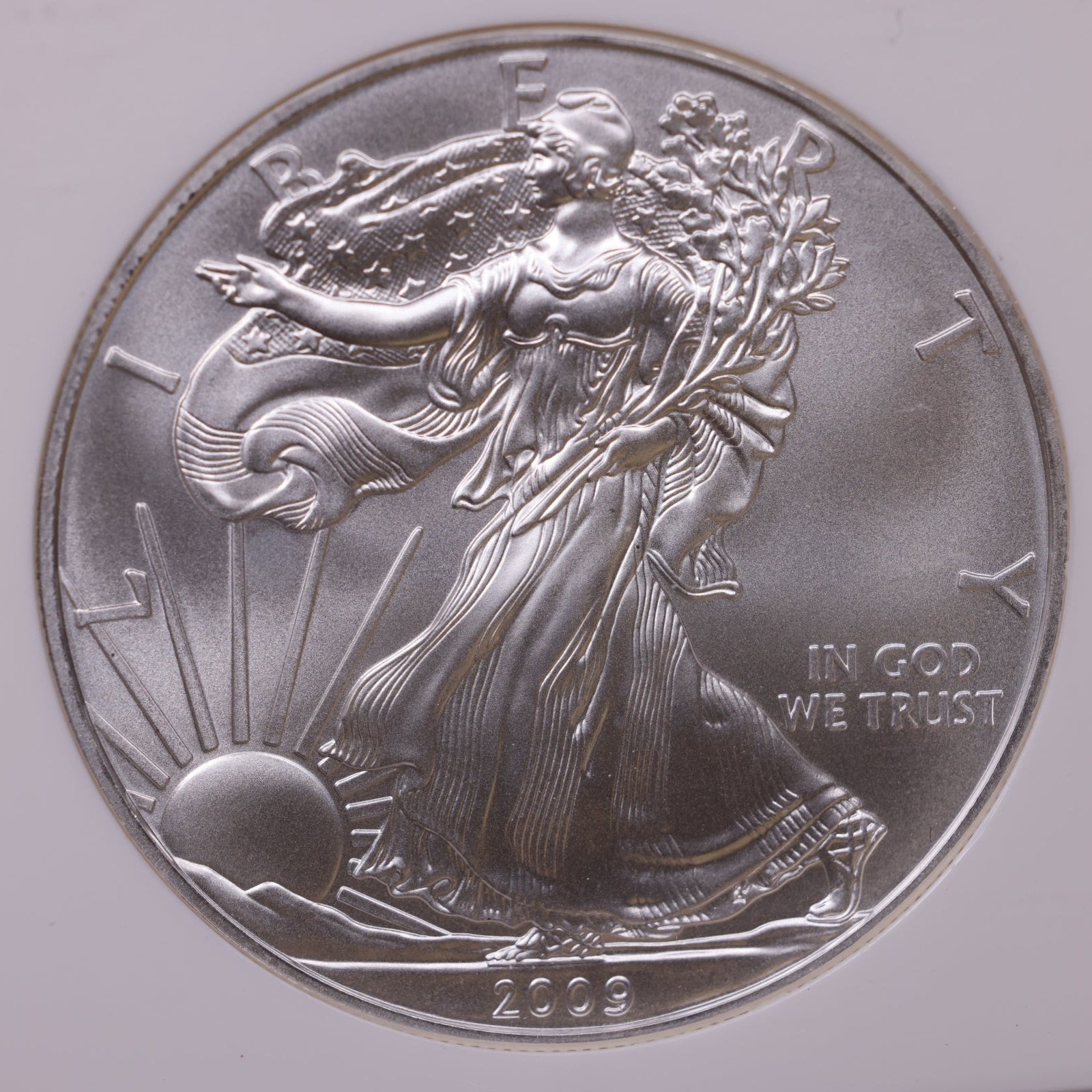 2009 American Silver Eagle, Early Release, NGC MS-70, Store#AE0320