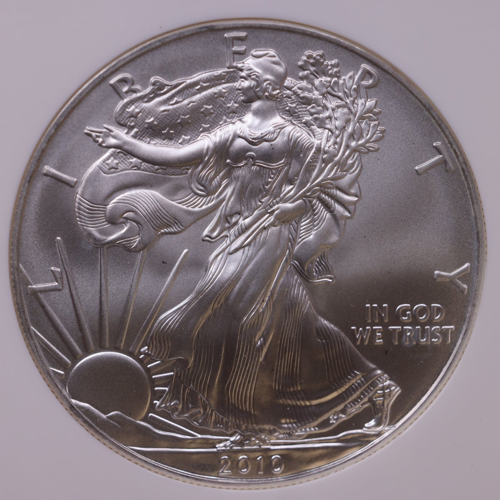 2010 American Silver Eagle, Early Release, NGC MS-70, Store#AE0321