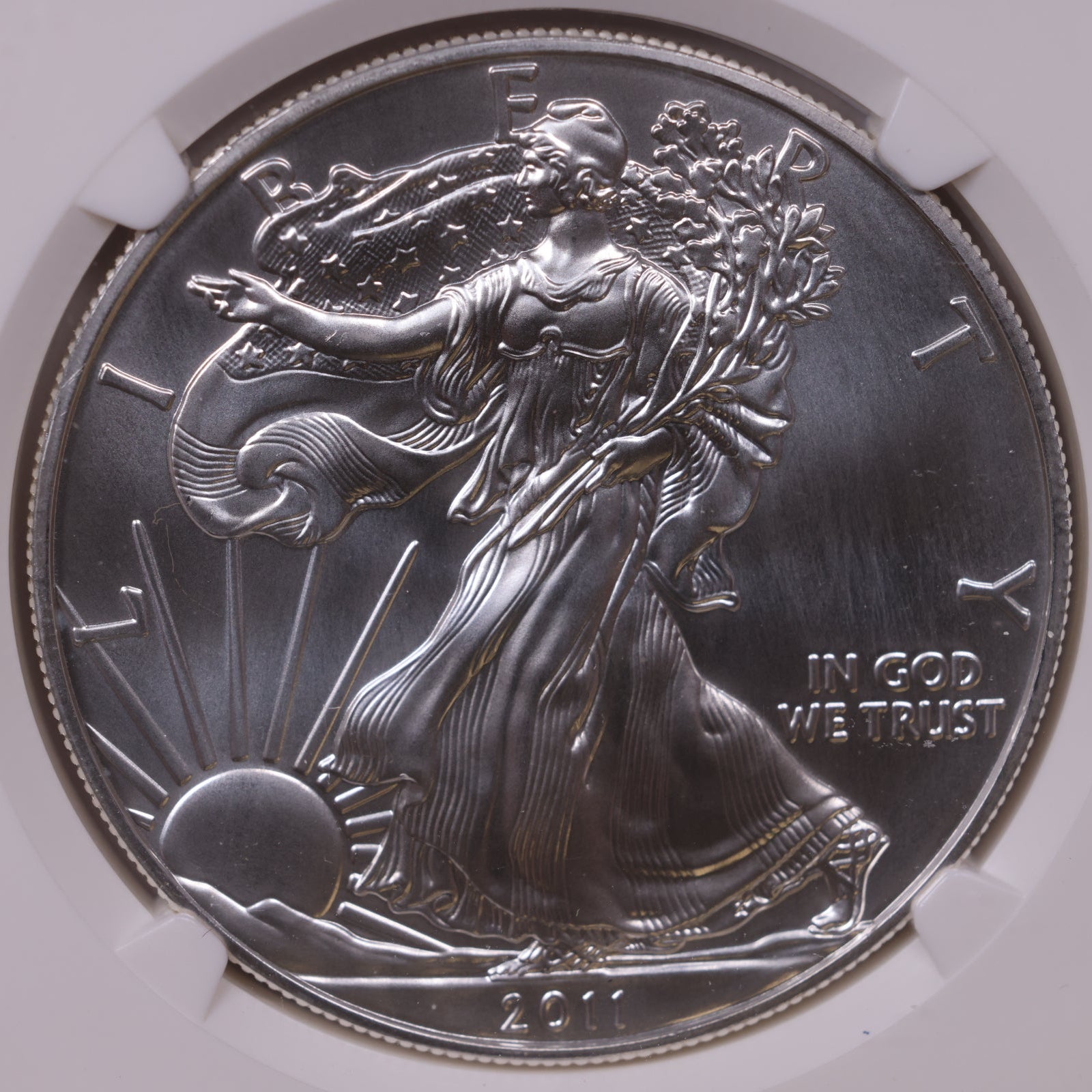 2011 (S) American Silver Eagle, Early Release, NGC MS-70, Store#AE0323