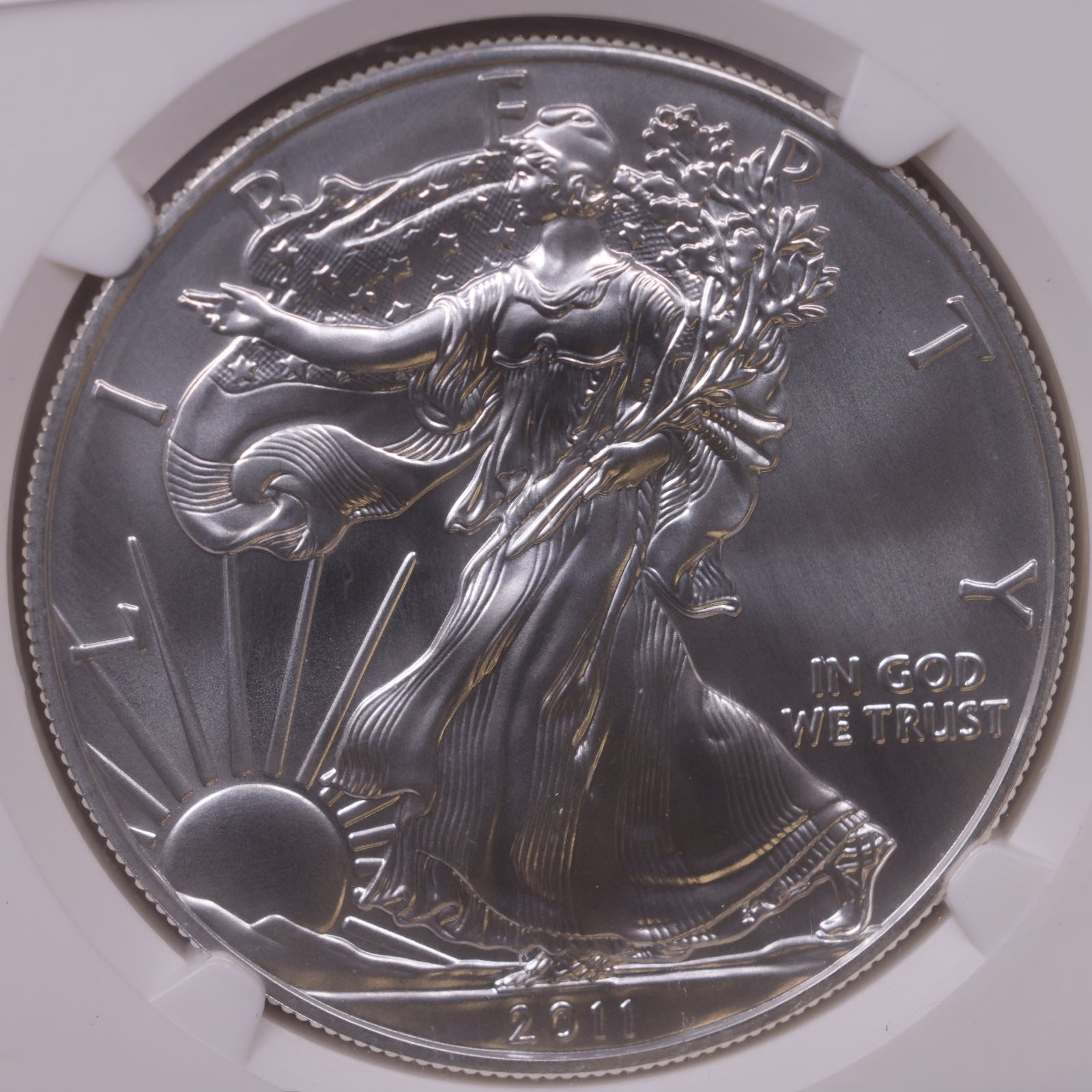 2011 (S) American Silver Eagle, Early Release, NGC MS-69, Store#AE0324