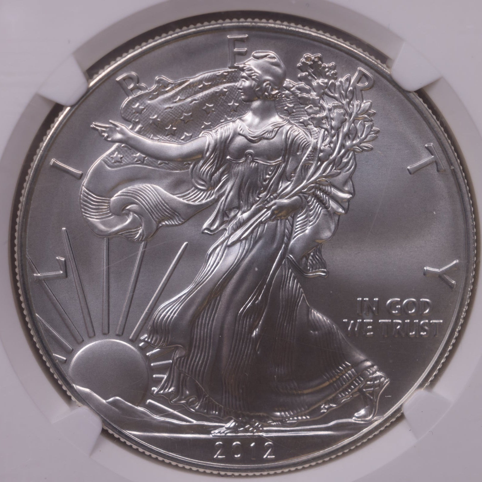 2012-W Burnished American Silver Eagle, NGC MS-70, Store#AE0326