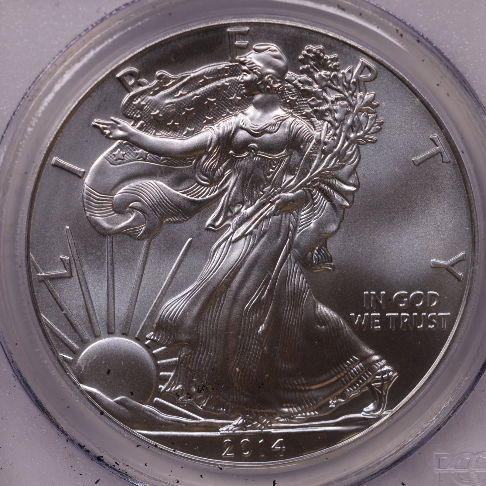2014 (W) American Silver Eagle, PCGS MS-70, Store#AE0331