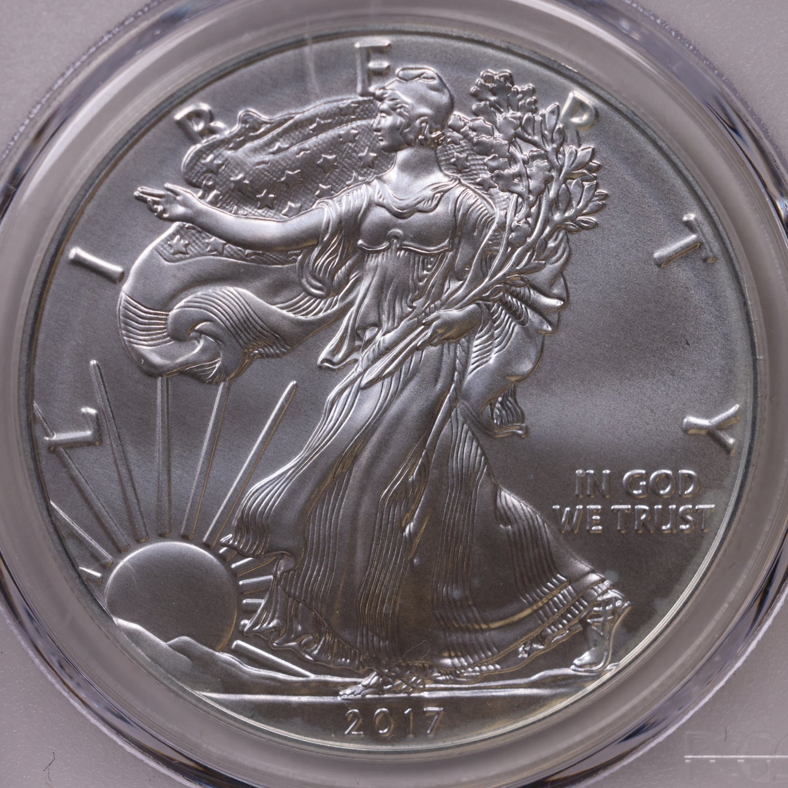 2017-W Burnished American Silver Eagle, First Strike, PCGS SP-70, Store#AE0334