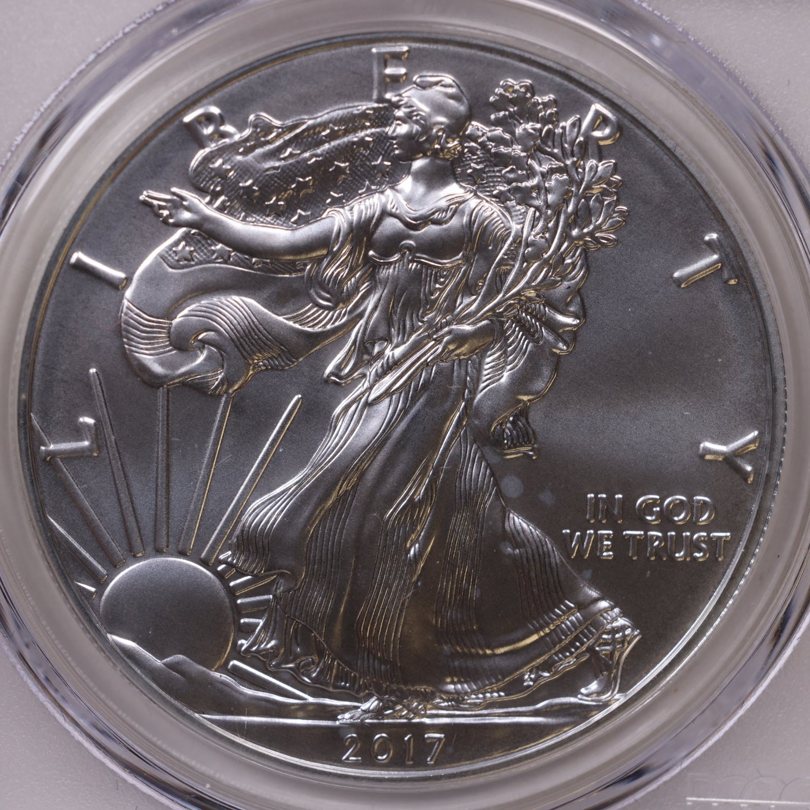 2017-W Burnished American Silver Eagle, First Strike, PCGS SP-70, Store#AE0335