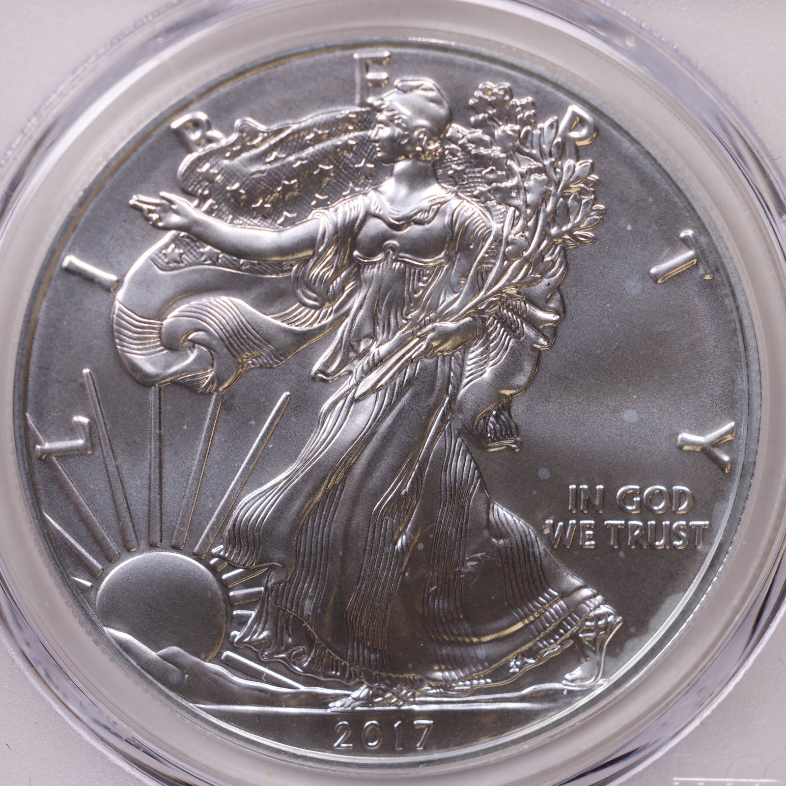 2017-W Burnished American Silver Eagle, First Strike, PCGS SP-70, Store#AE0336