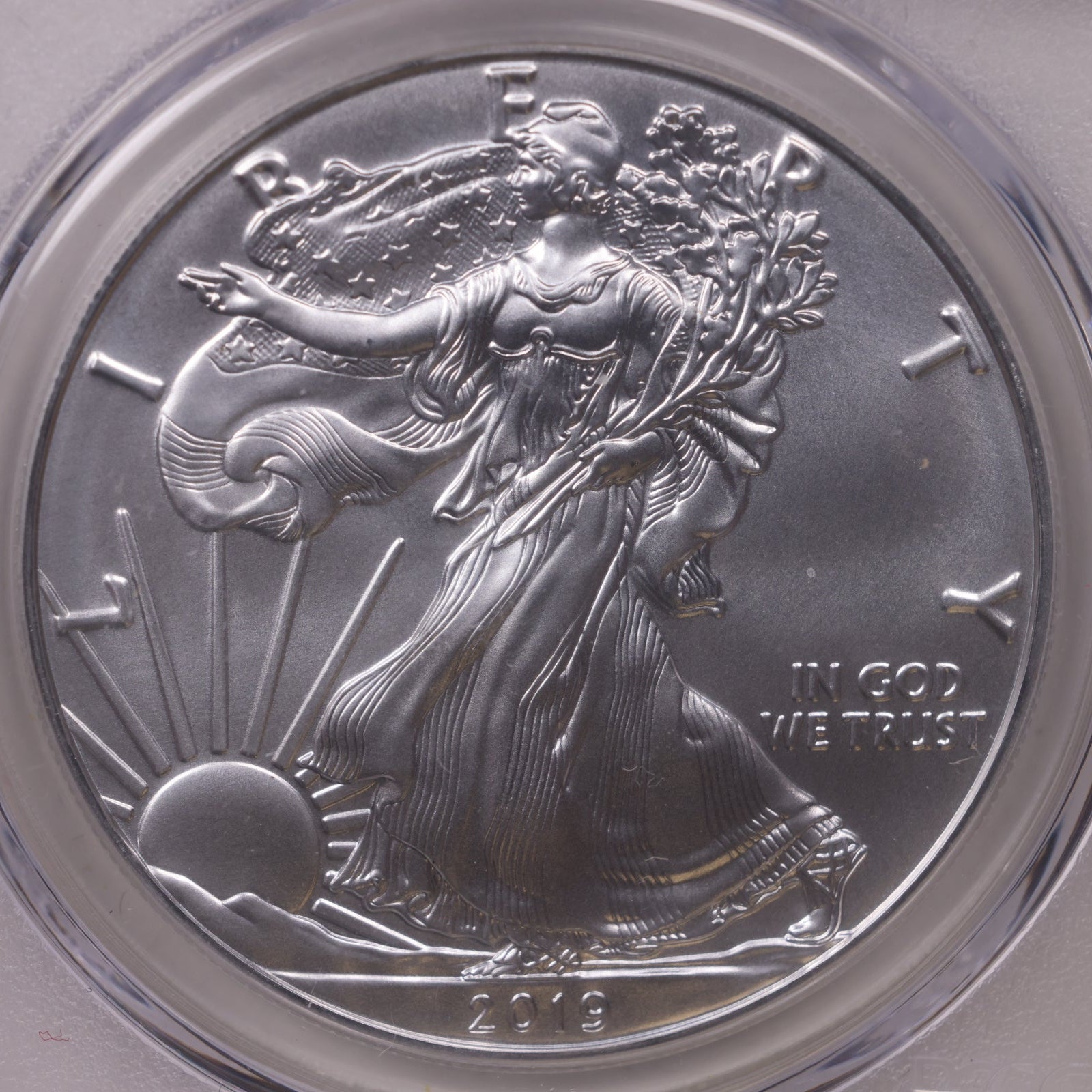 2019 American Silver Eagle, First Edition, PCGS MS-70, Store#AE0338