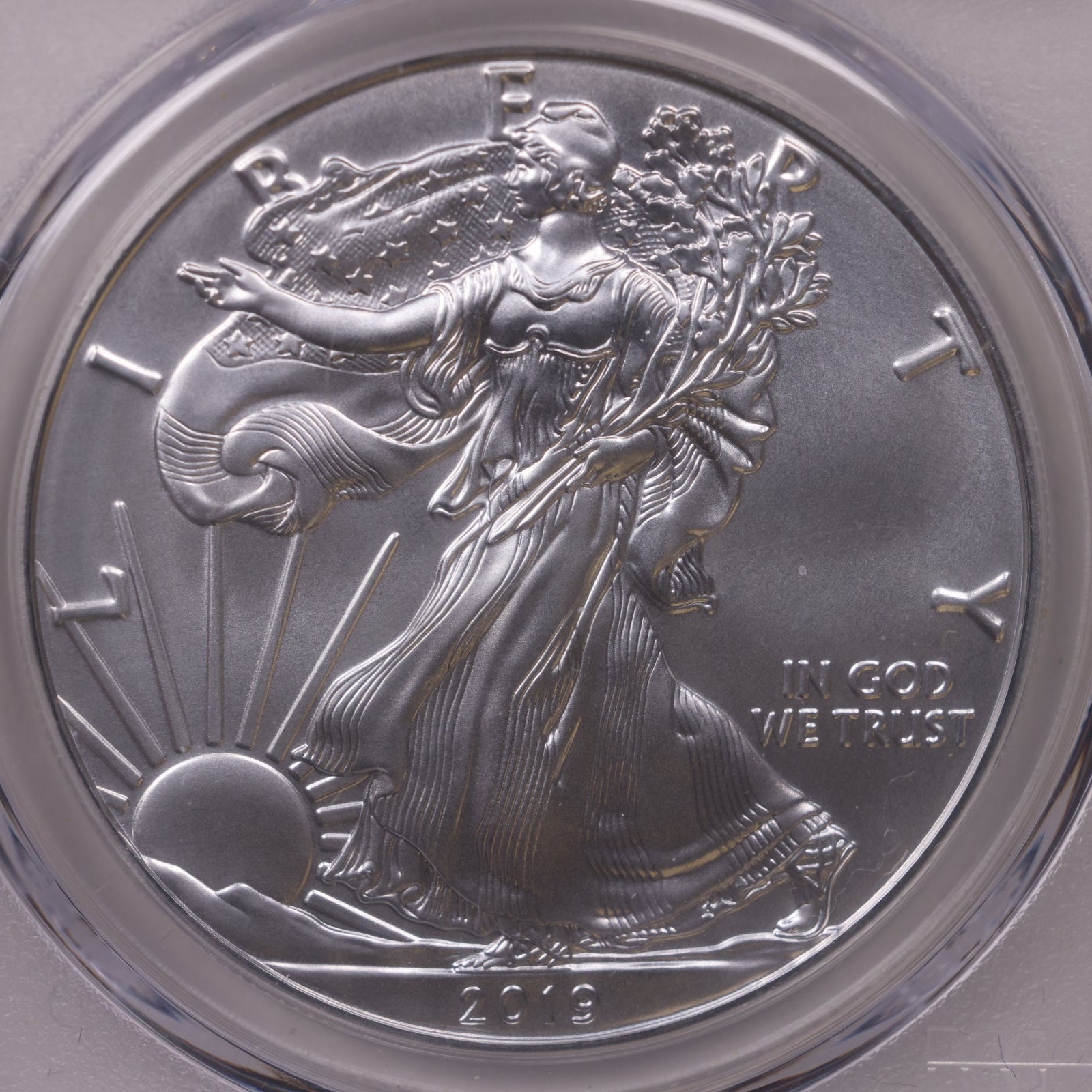2019 American Silver Eagle, First Edition, PCGS MS-70, Store#AE0339