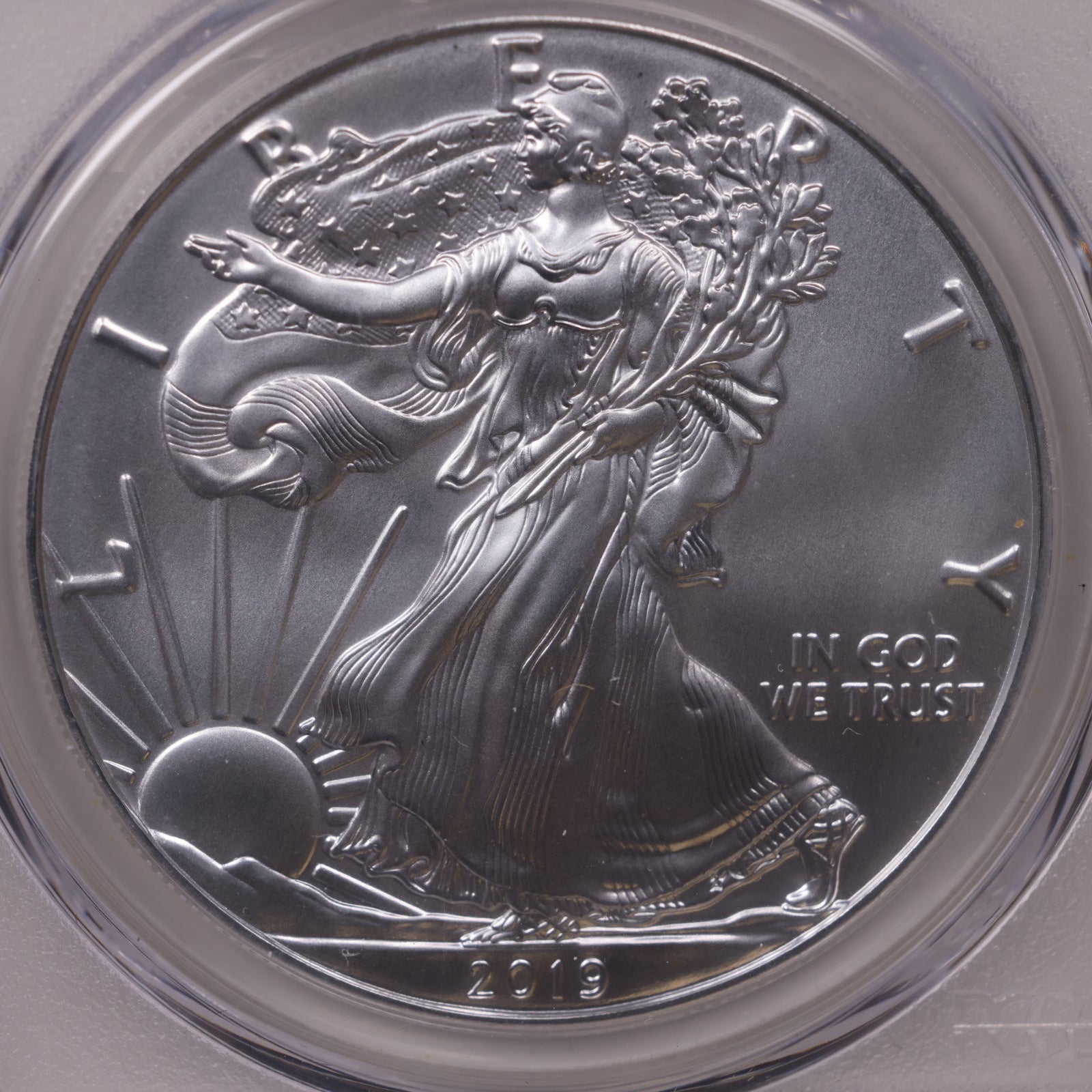 2019 American Silver Eagle, First Edition, PCGS MS-70, Store#AE0340