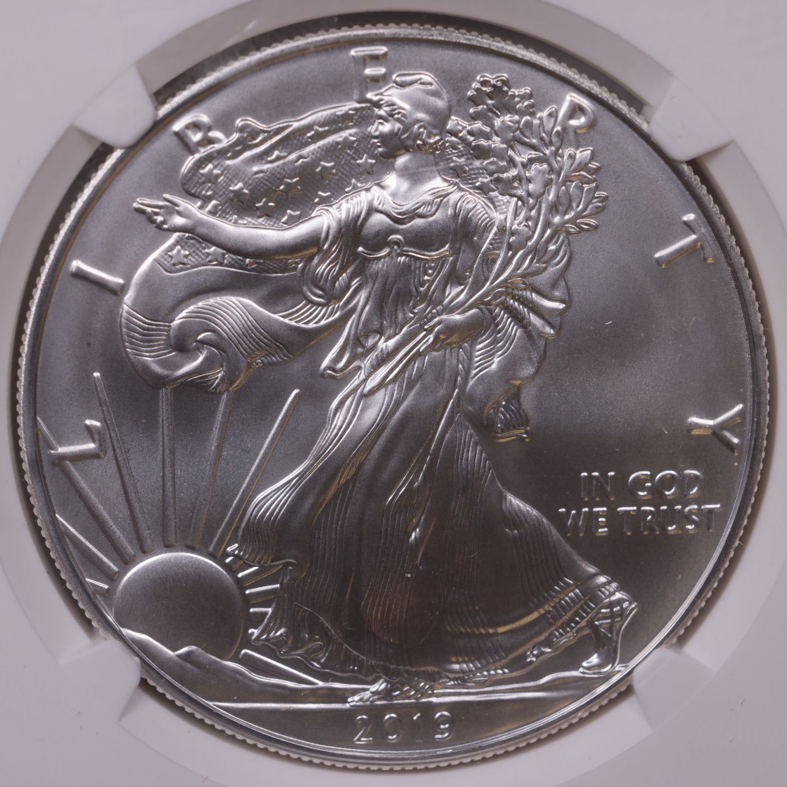 2019 American Silver Eagle, First Release, NGC MS-70, Store#AE0341