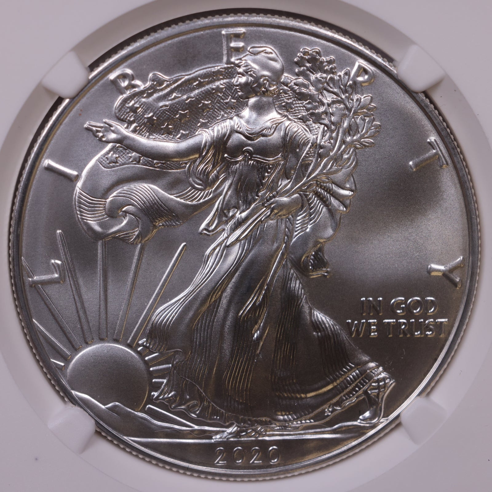2020 American Silver Eagle, NGC MS-70, Store#AE0344