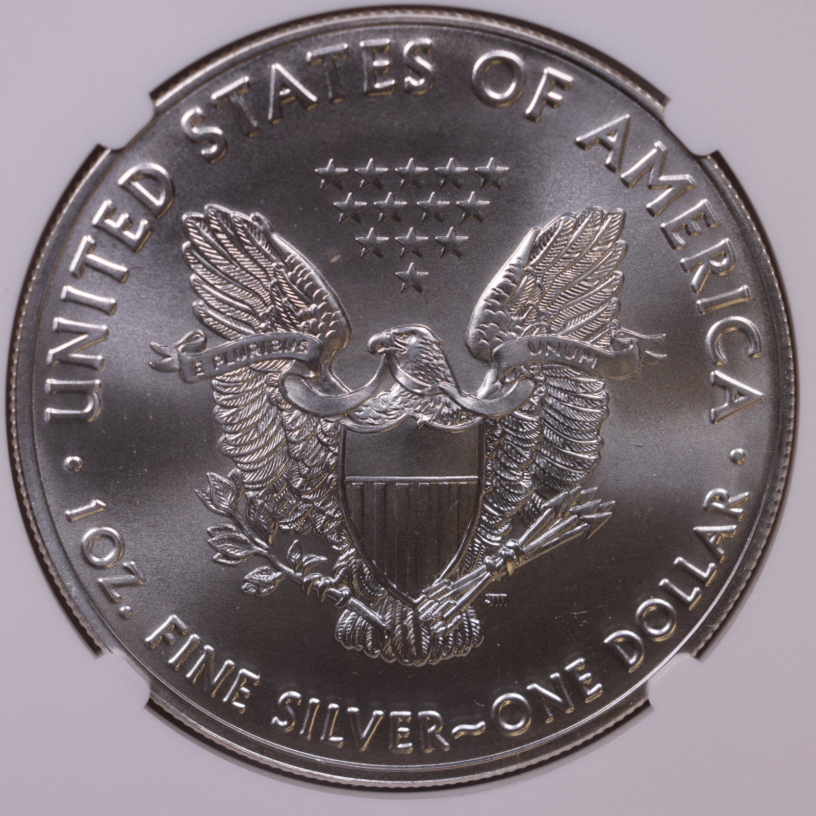 2020 American Silver Eagle, NGC MS-70, Store#AE0344