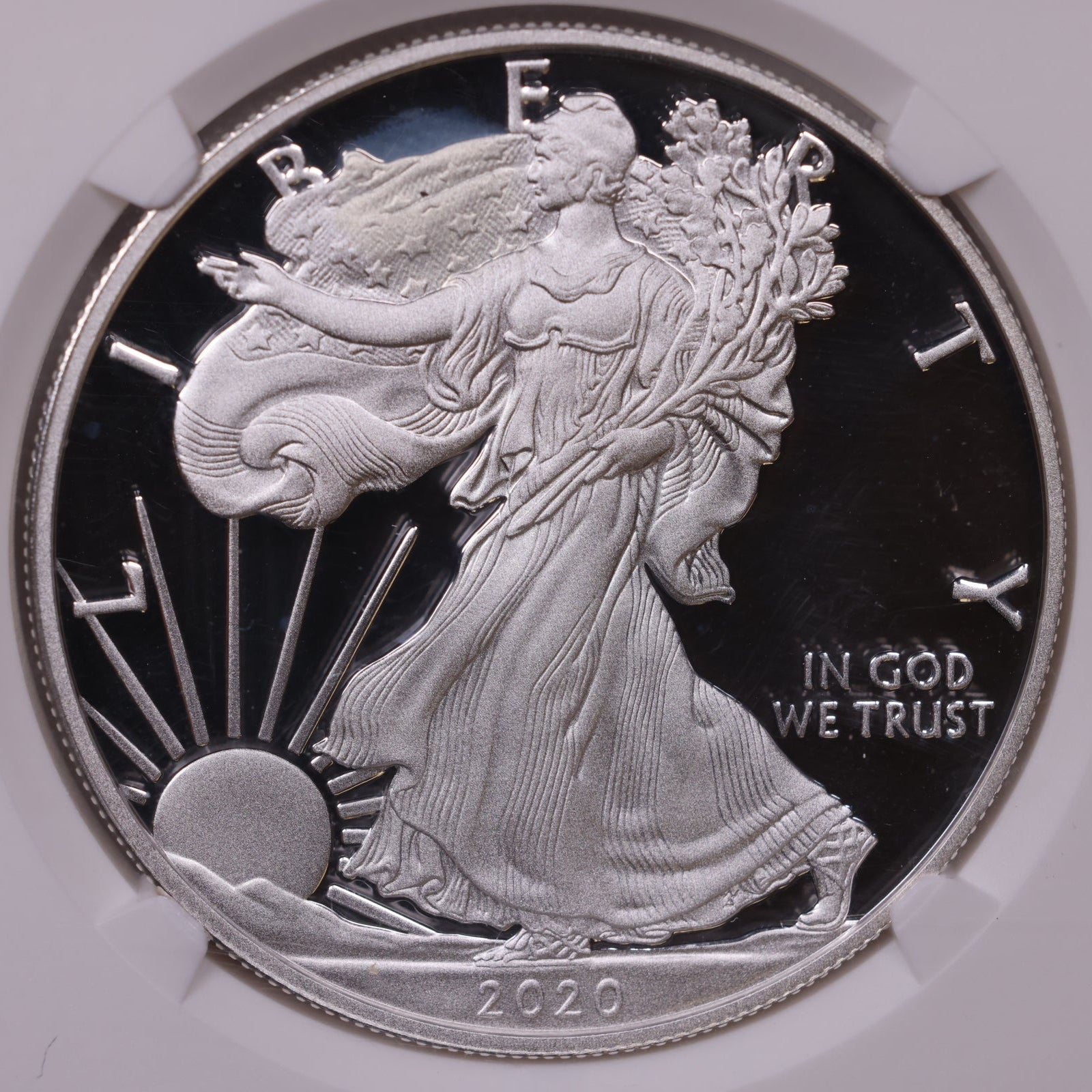 2020-W American Silver Eagle, Ultra Cameo NGC PF-70, Store#AE0346