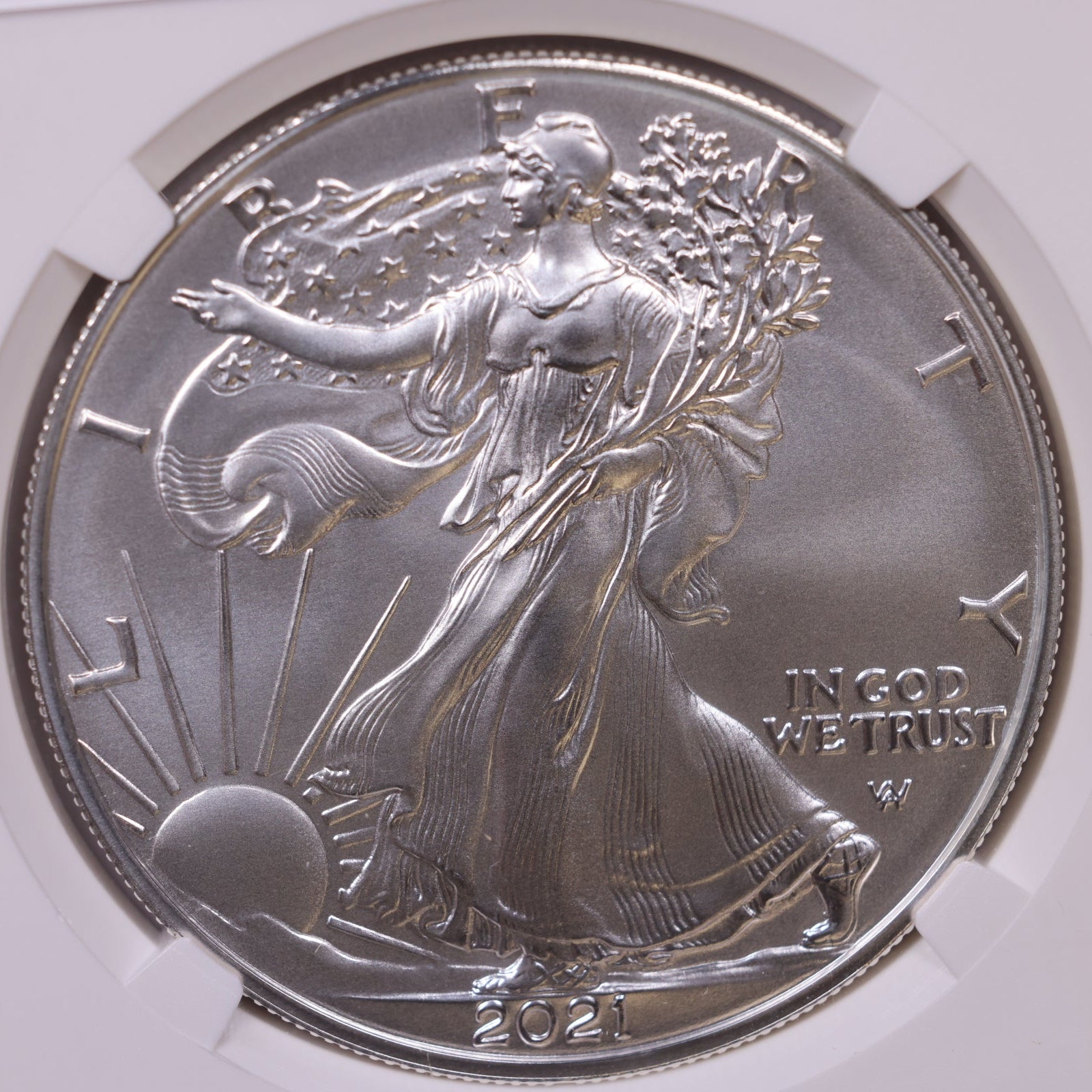 2021-W Burnished American Silver Eagle Type 2, NGC MS-70, Store#AE0361