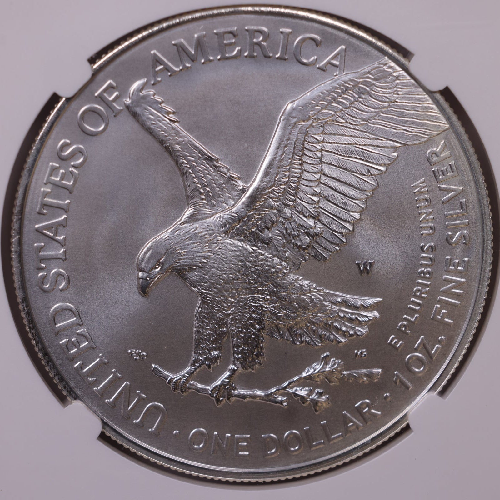 2021-W Burnished American Silver Eagle Type 2, NGC MS-70, Store#AE0361