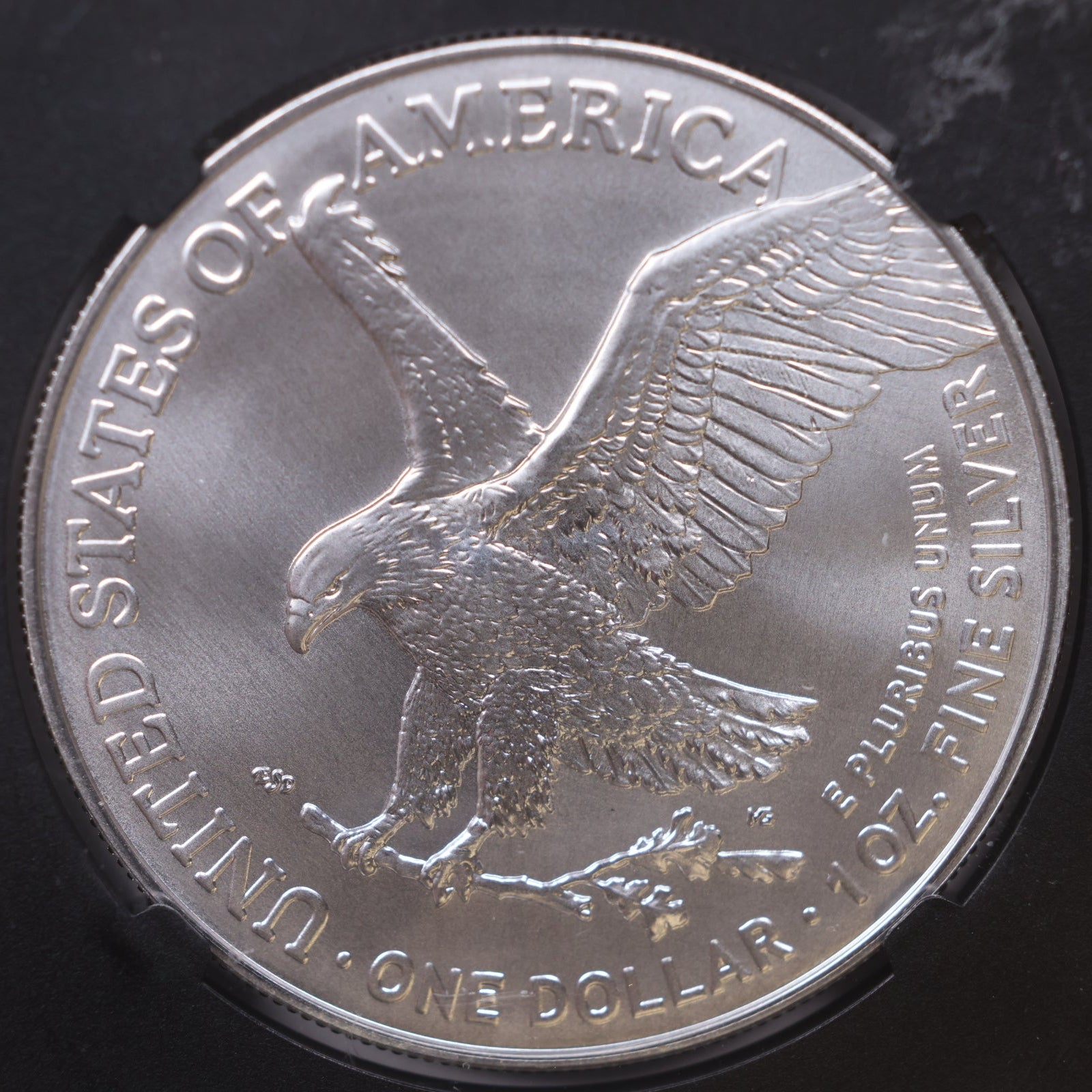 2021 American Silver Eagle Type 2, First Releases, NGC MS-70, Store#AE0363