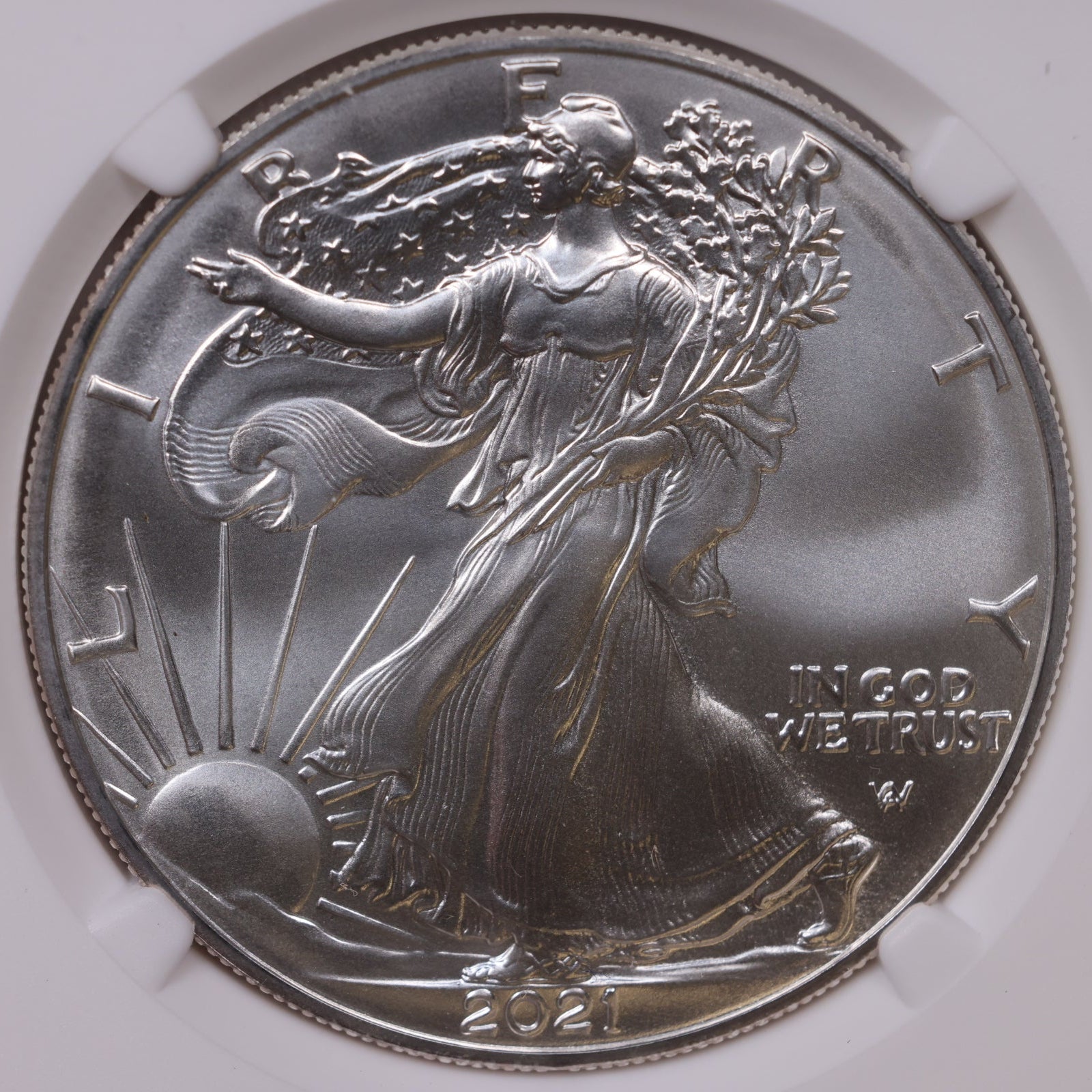 2021 American Silver Eagle Type 2, First Releases, NGC MS-70, Store#AE0364