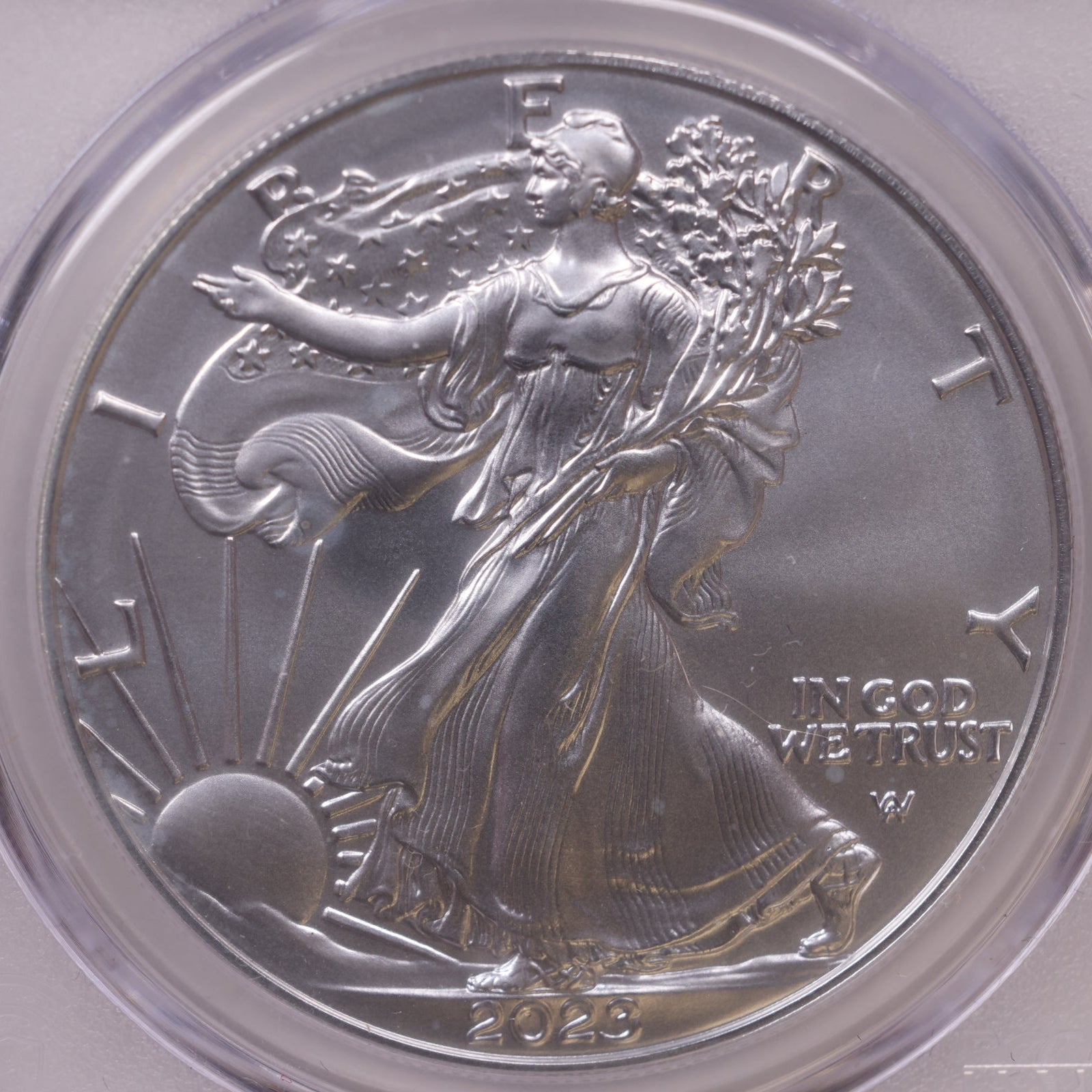 2023-W Burnished American Silver Eagle, First Edition, PCGS SP-70, Store#AE0384