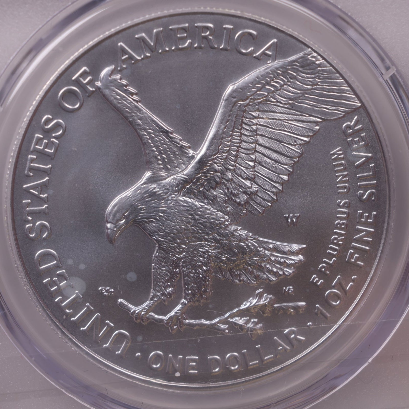 2023-W Burnished American Silver Eagle, First Edition, PCGS SP-70, Store#AE0384