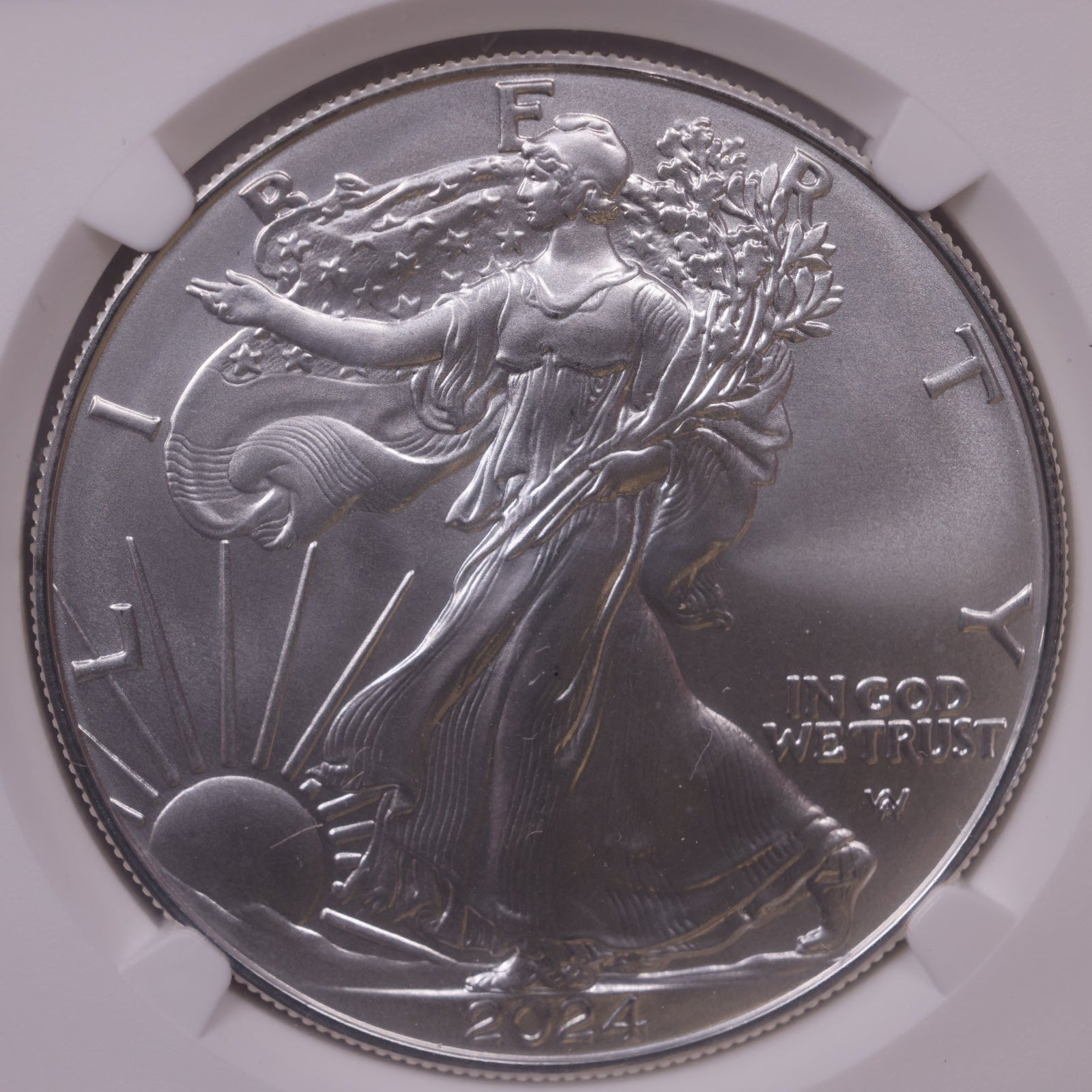 2024 American Silver Eagle, NGC MS-70, Store#AE0389