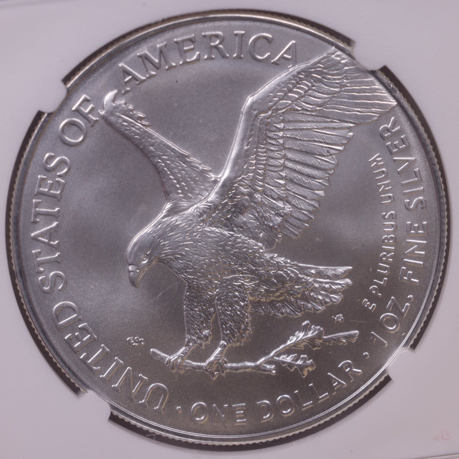 2024 American Silver Eagle, NGC MS-70, Store#AE0389
