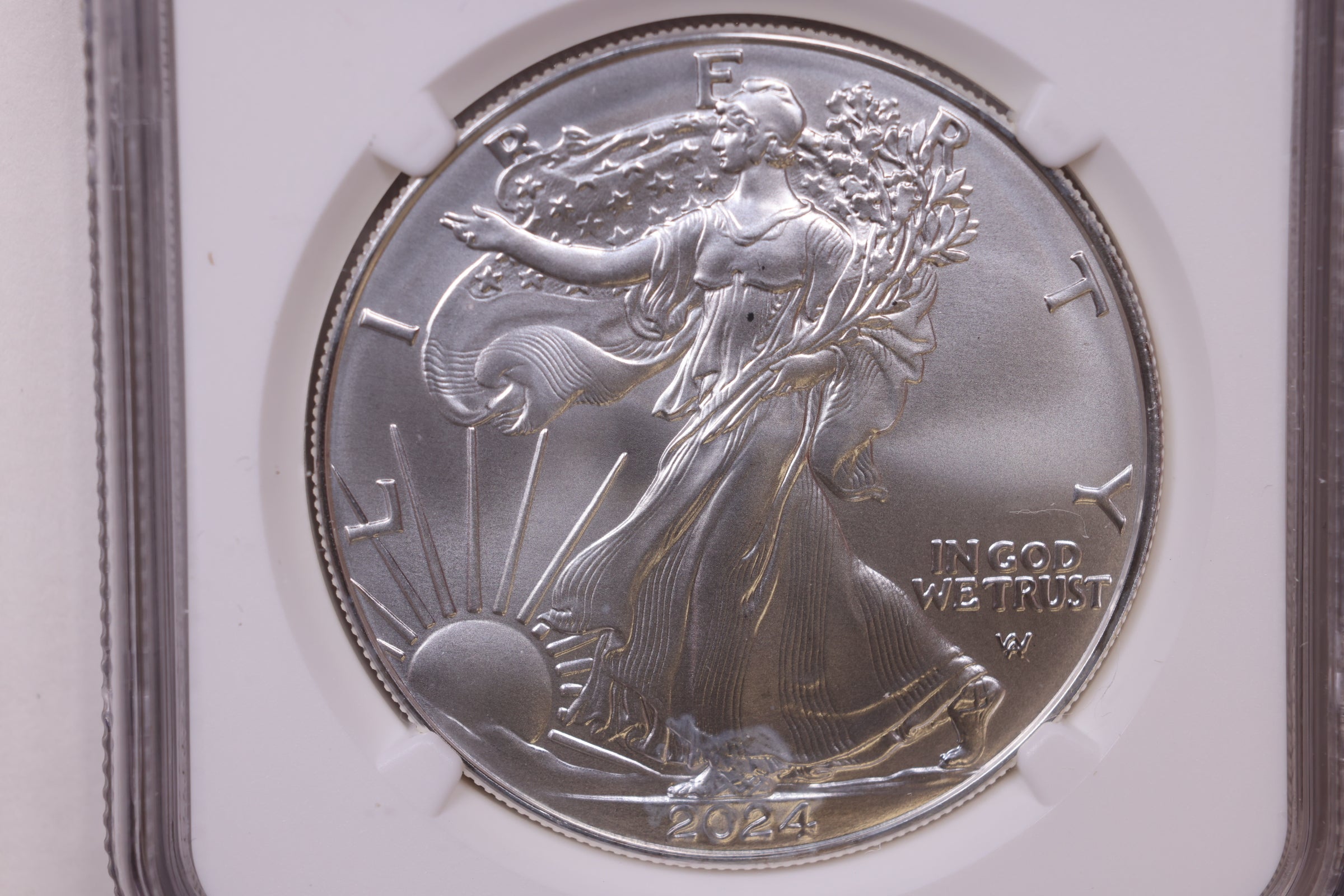 2024 American Silver Eagle, TRUMP 2024, NGC MS-70, Store#AE0391