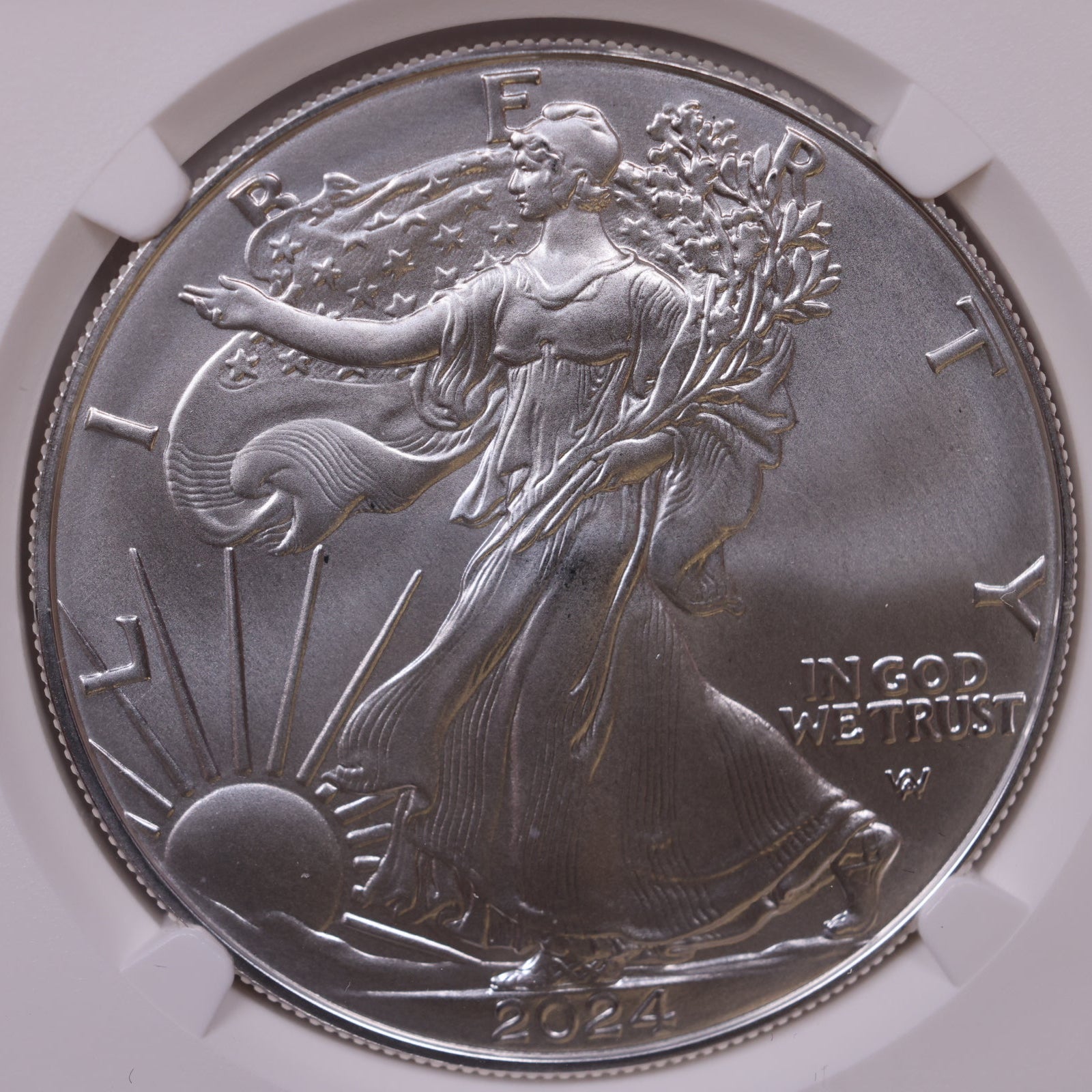 2024 American Silver Eagle, NGC MS-70, Store#AE0392