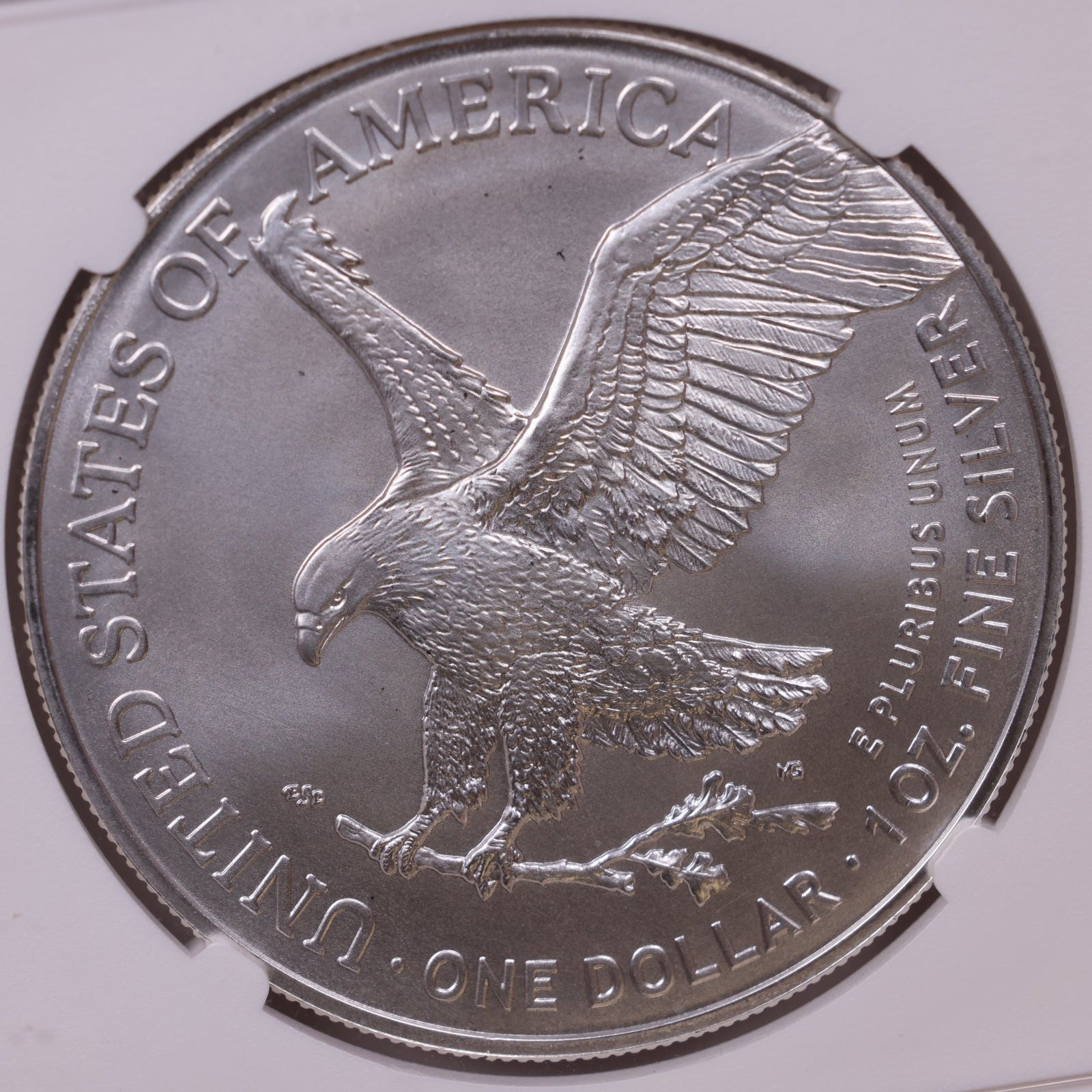 2024 American Silver Eagle, NGC MS-70, Store#AE0392