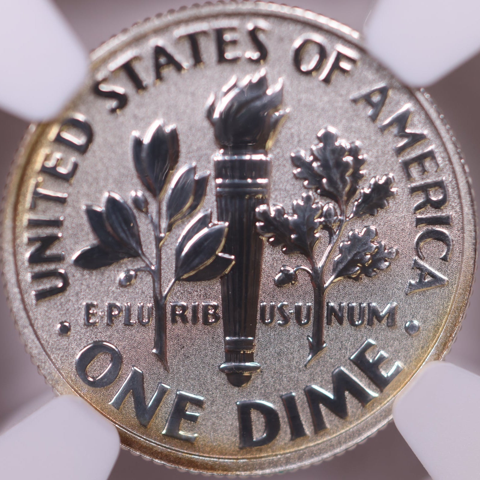 2015-P Silver Dime, March of Dimes Set, NGC Reverse PF-69, Store #GMC367