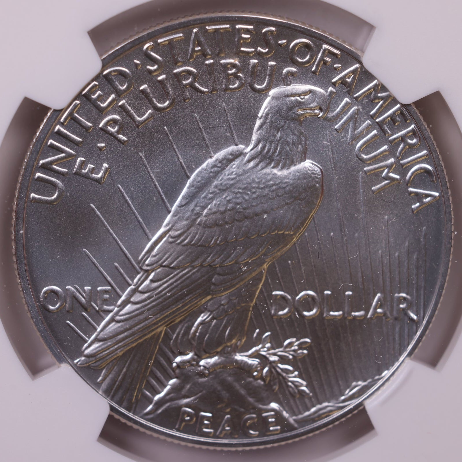 2023 Peace Dollar, NGC MS-70, Store #GMC371