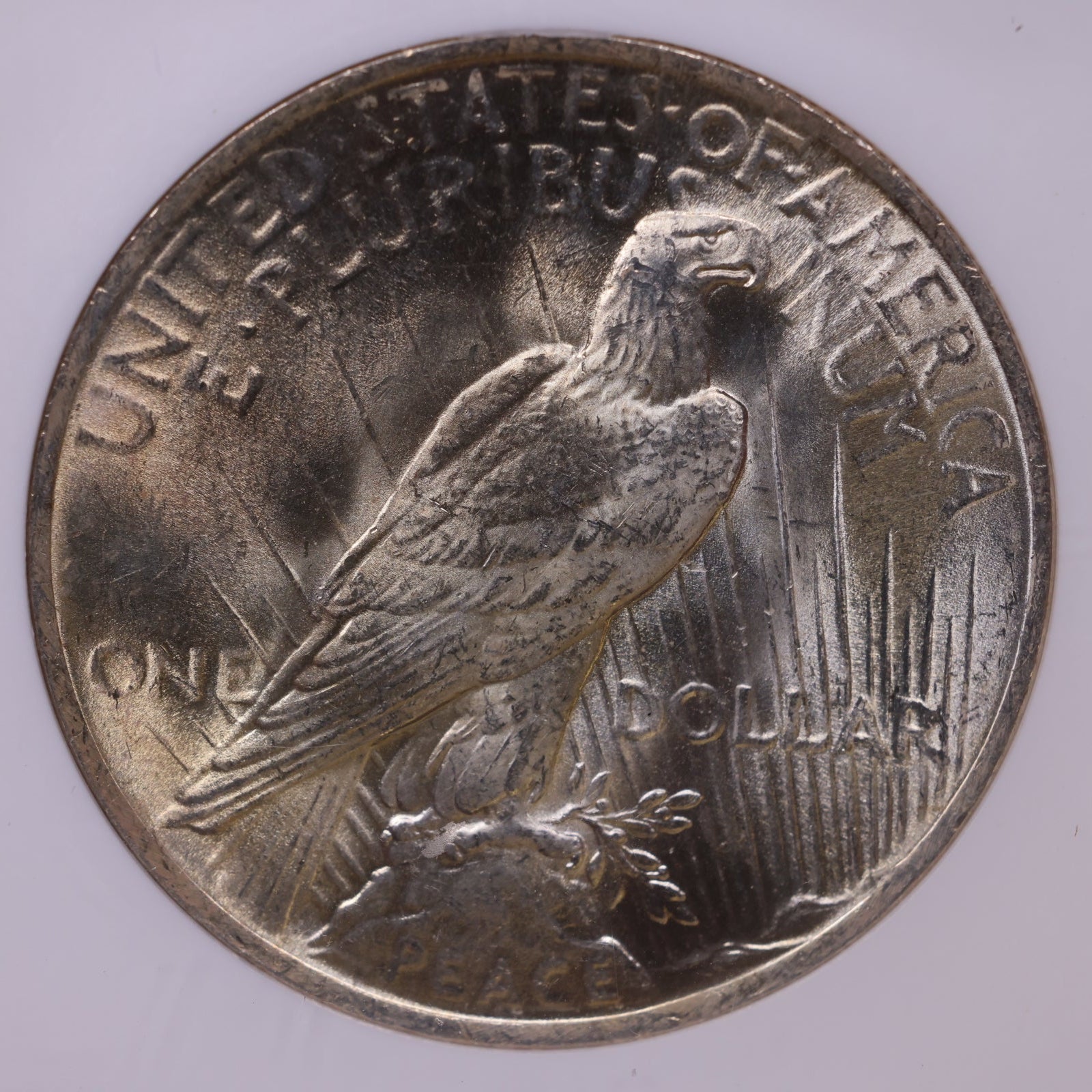 1923 Peace Dollar, NGC MS-64, Mint Uncirculated Coin, Store #DR0979