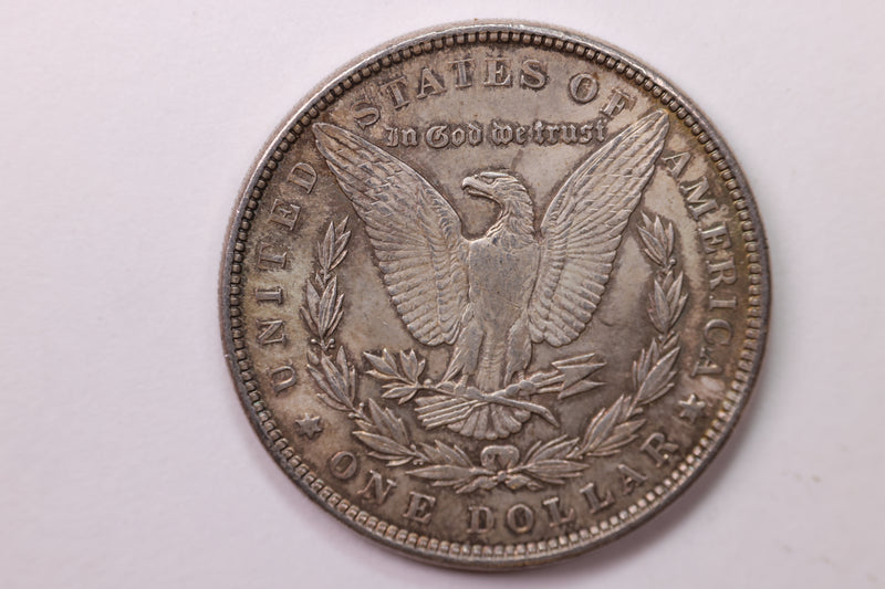 1889 Morgan Silver Dollar, Large Circulated Affordable Coin Store Sale