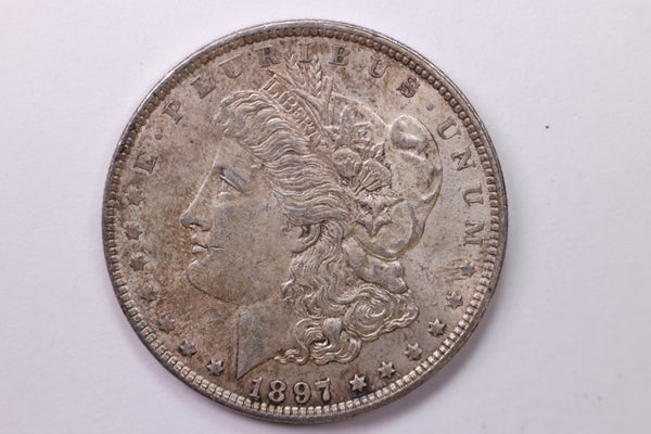 1897 Morgan Silver Dollar, Large Circulated Affordable Coin Store Sale #035221