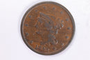 1842 Large Cent., Fine Circulated Coin., Store Sale