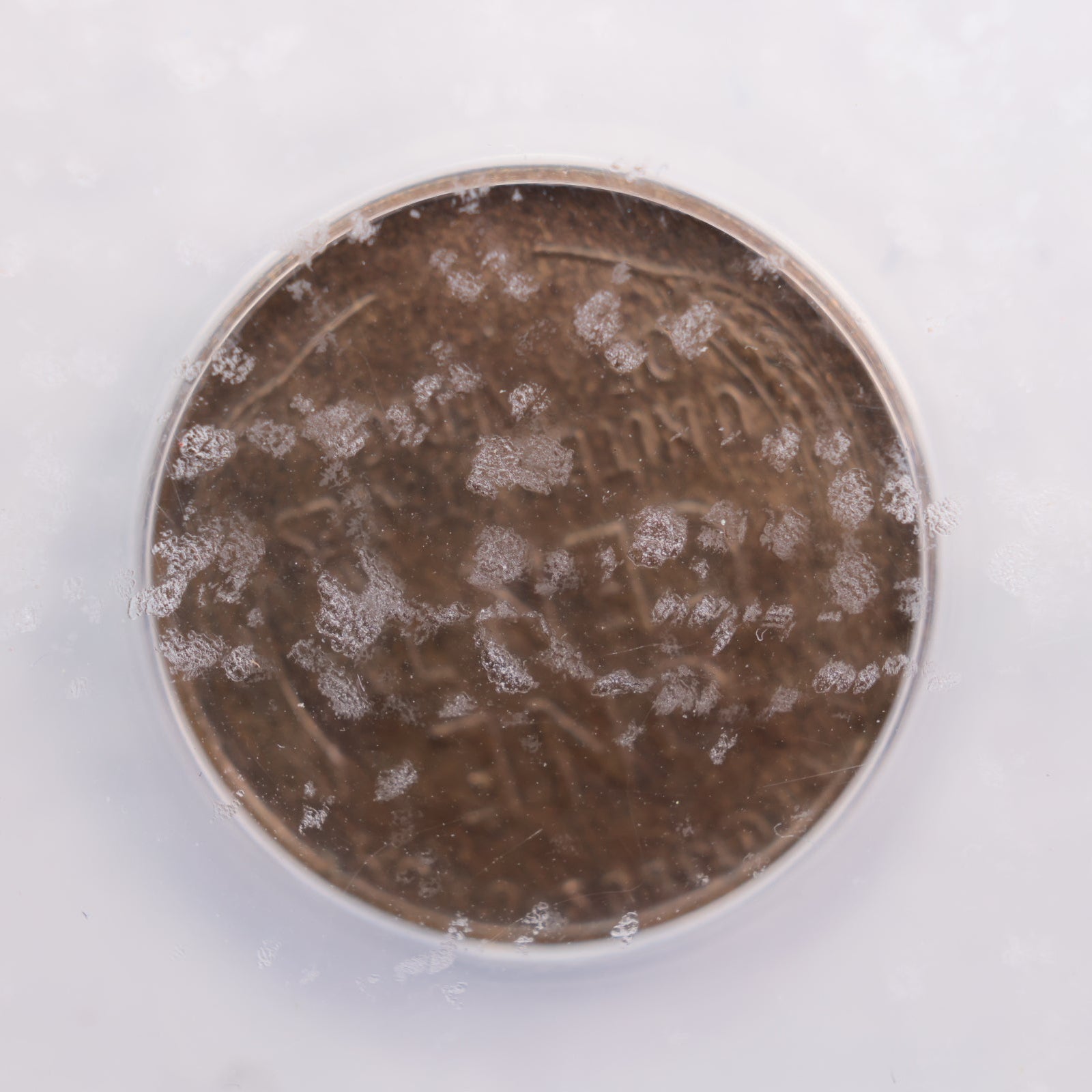 1921-S Lincoln Wheat Cent., ANACS EF-45., Circulated., Store #GCT037