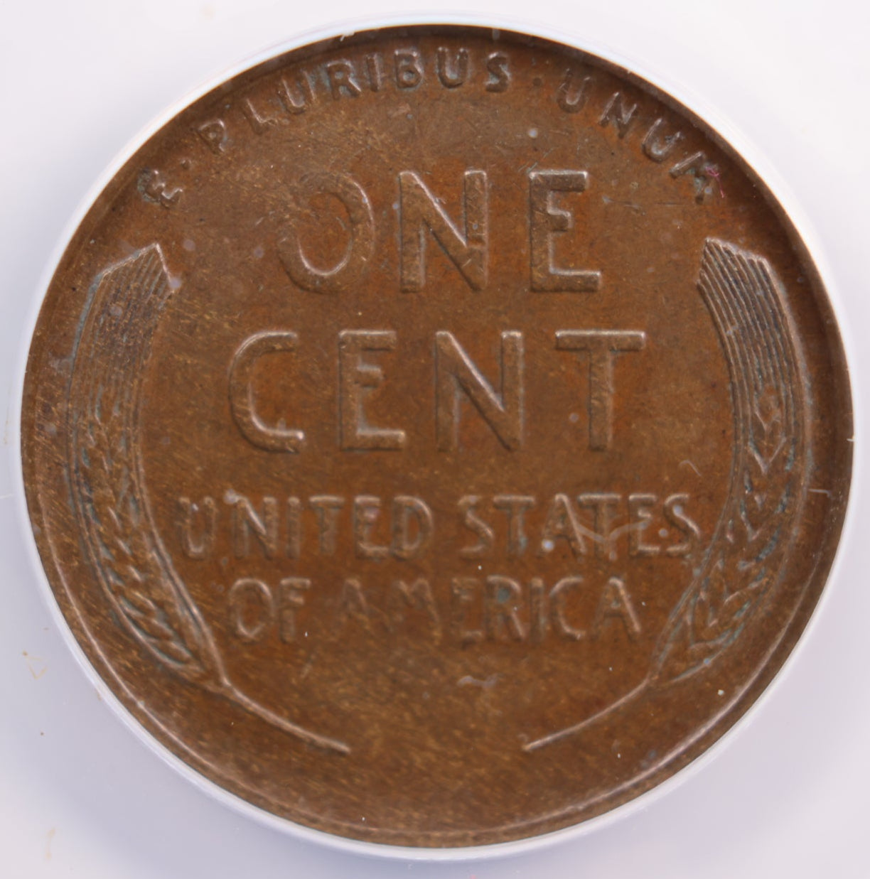 1921-S Lincoln Wheat Cent., ANACS EF-45., Circulated., Store #GCT038.