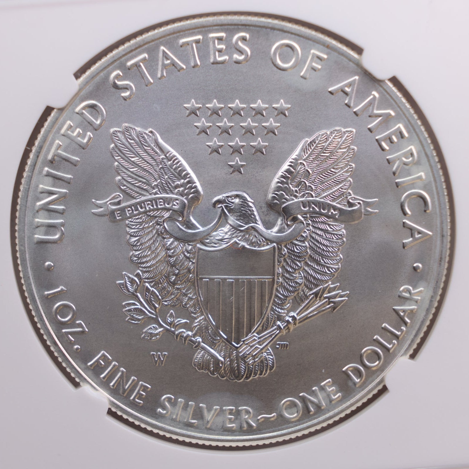 2020-W American Silver Eagle, Burnished Strike, NGC MS70, Store GSE020