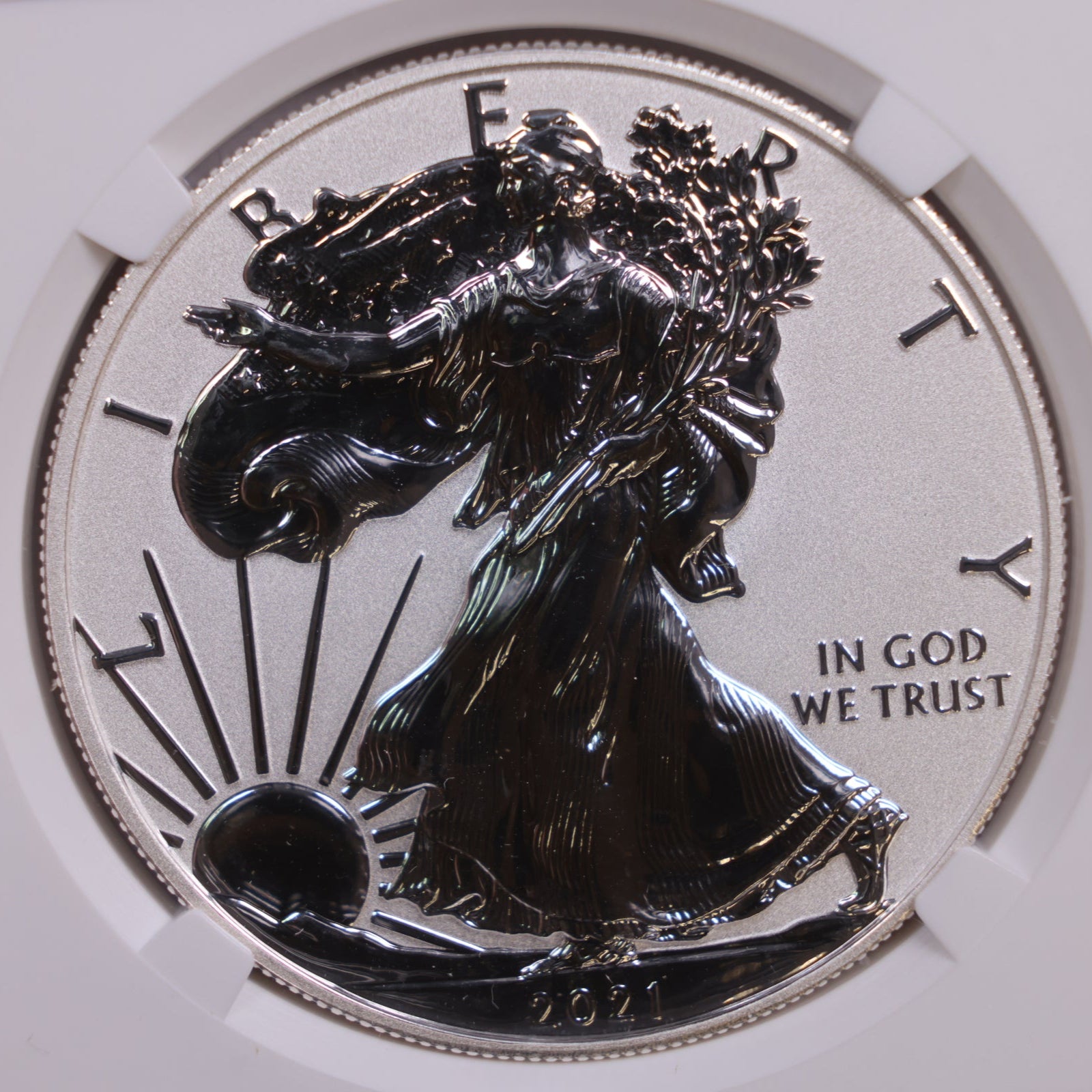 2021-W American Silver Eagle, Reverse Proof, NGC PF70, Store #GSE022