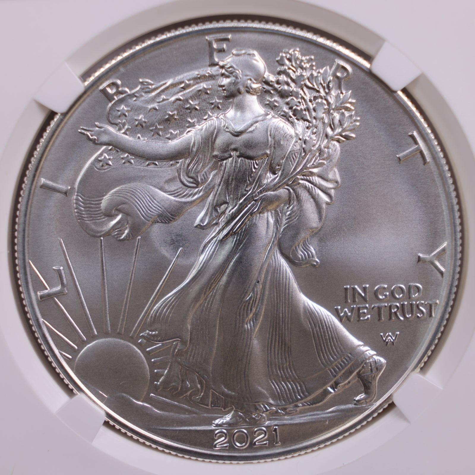 2021-W American Silver Eagle, Burnished Strike, NGC MS70, Store #GSE023