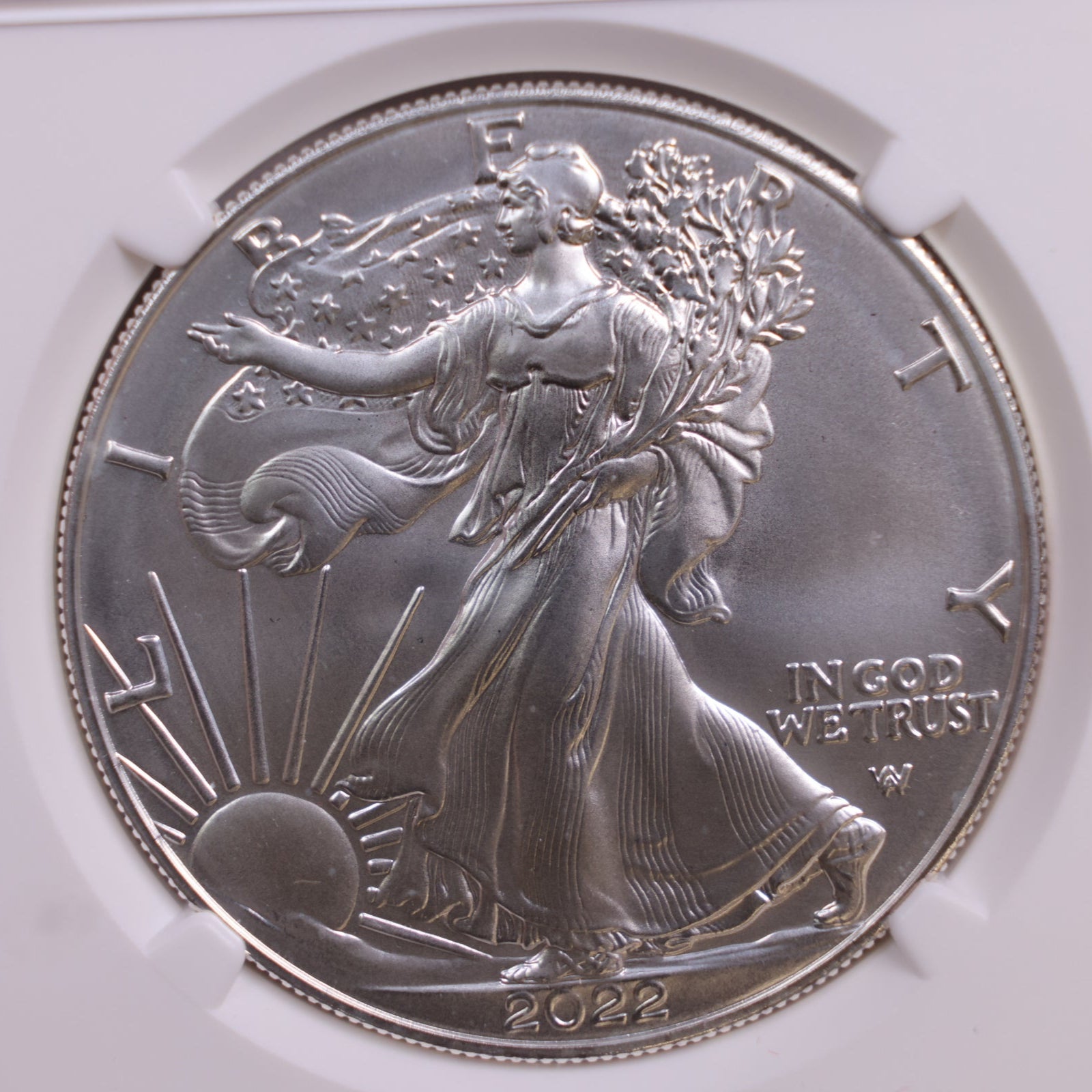 2022-W American Silver Eagle, Burnished Strike, NGC MS-70, Store #GSE027
