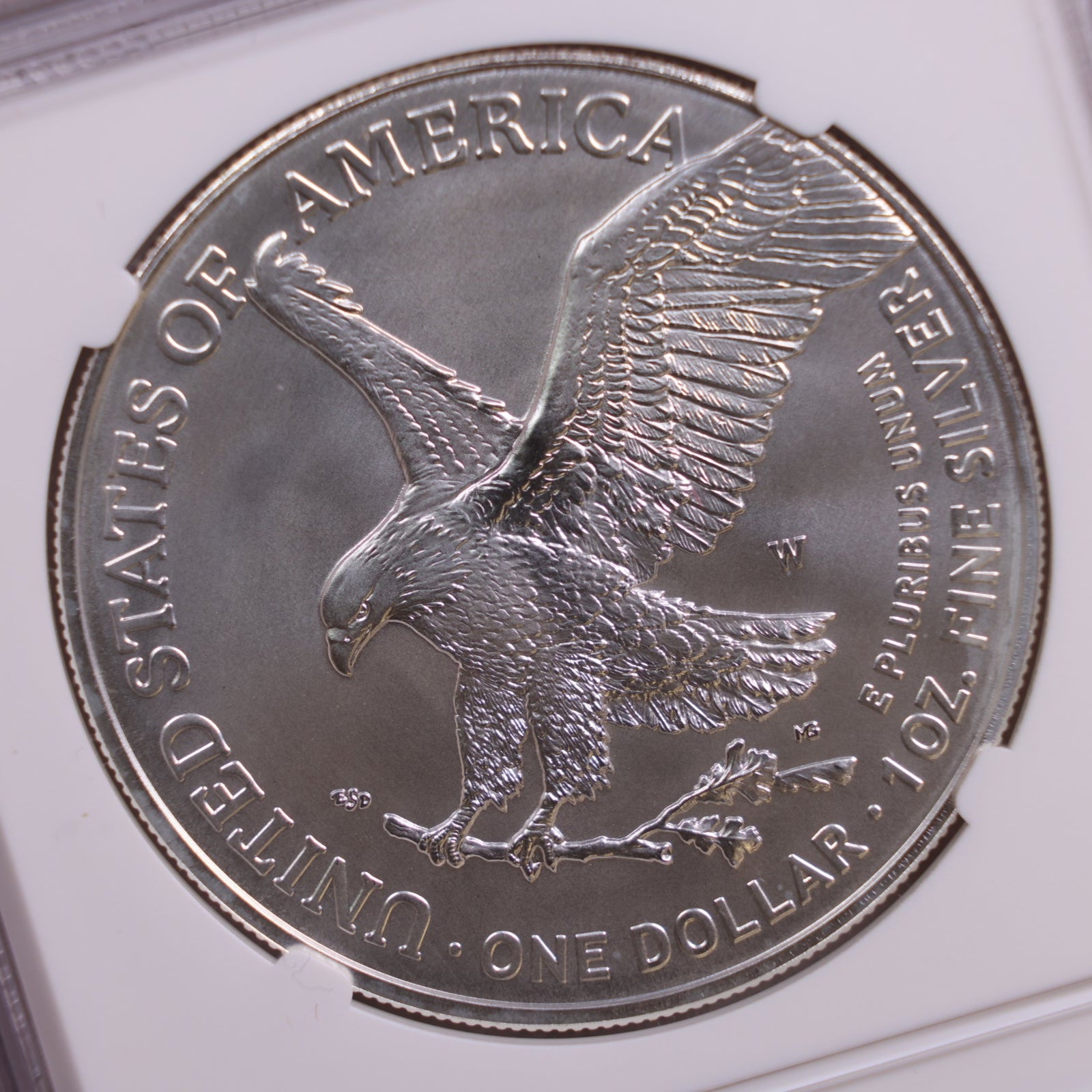 2022-W American Silver Eagle, Burnished Strike, NGC MS-70, Store #GSE027