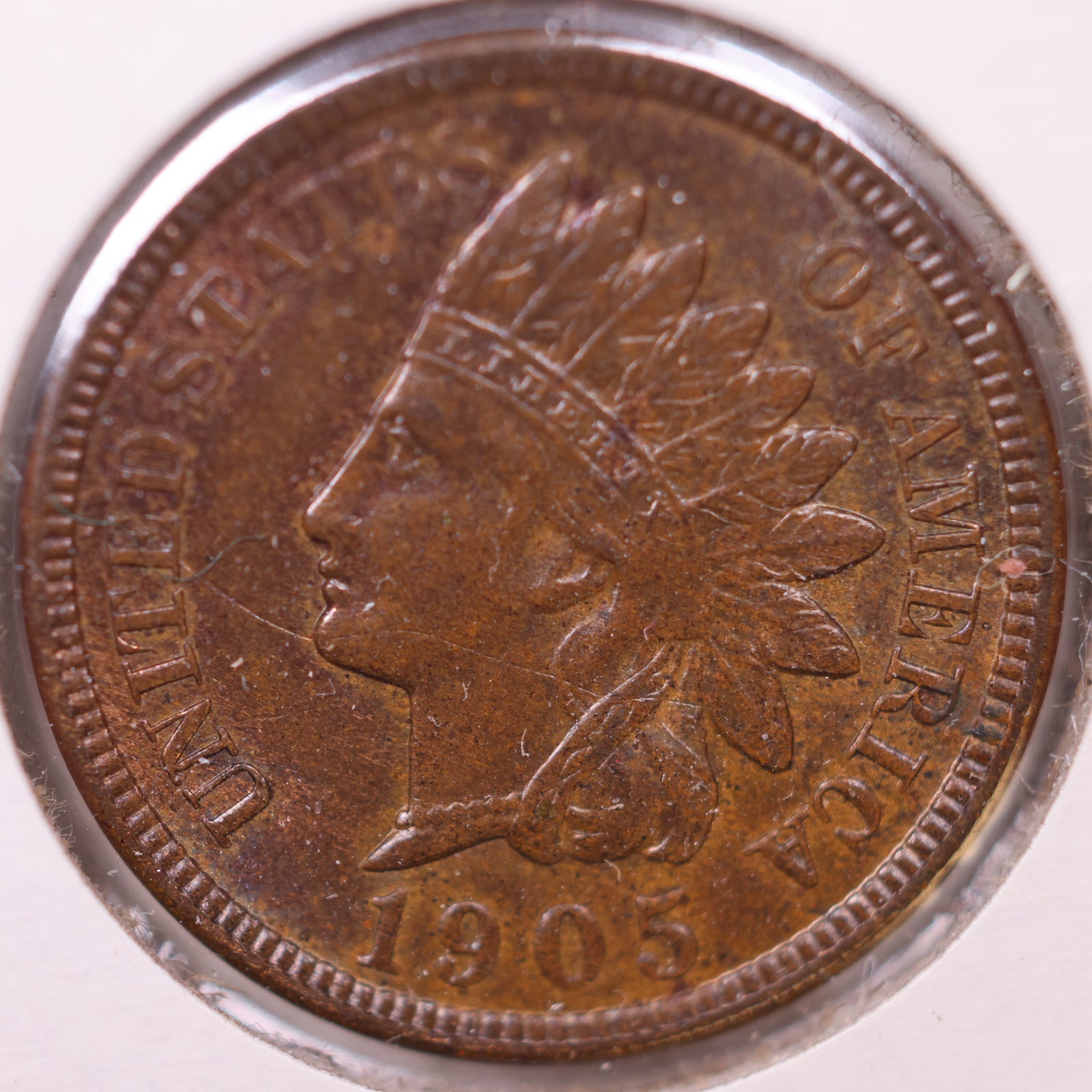 1905 Indian Head Cent, Chocolate Brown, Mint Uncirculated, Affordable Coin, Store #CT1236