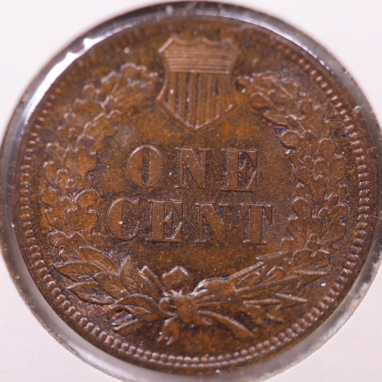 1905 Indian Head Cent, Chocolate Brown, Mint Uncirculated, Affordable Coin, Store #CT1236